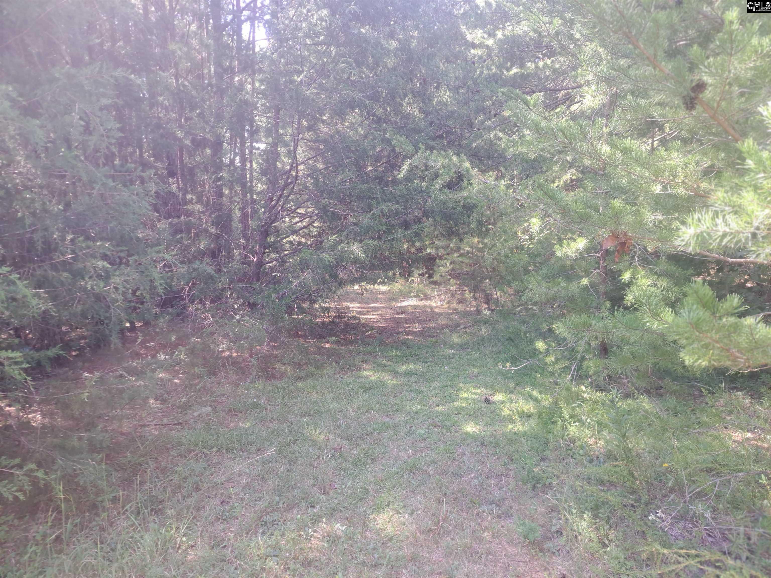 Westwoods Drive Chapin, SC 29036