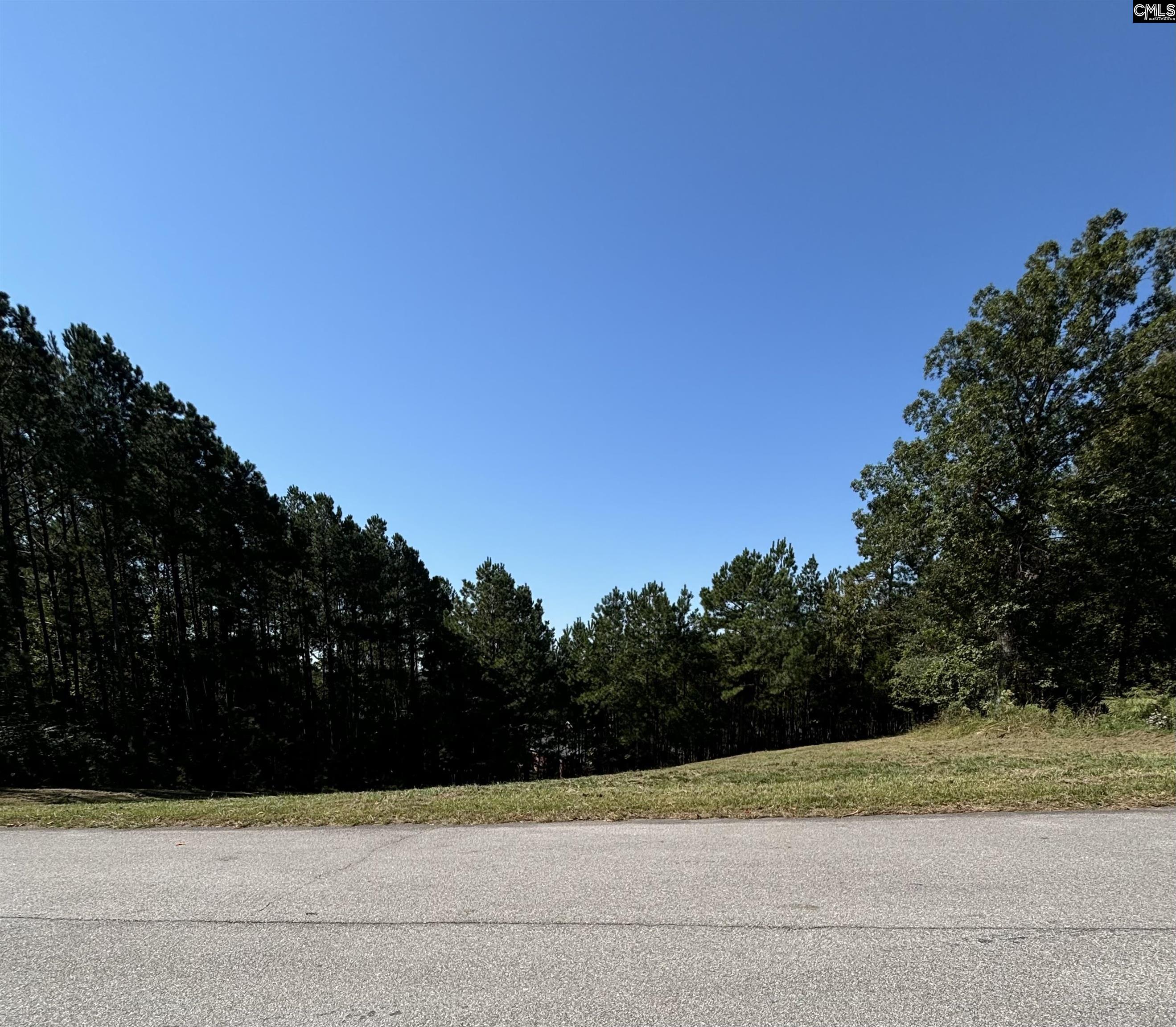 213 Silver Fox Lane Columbia, SC 29212