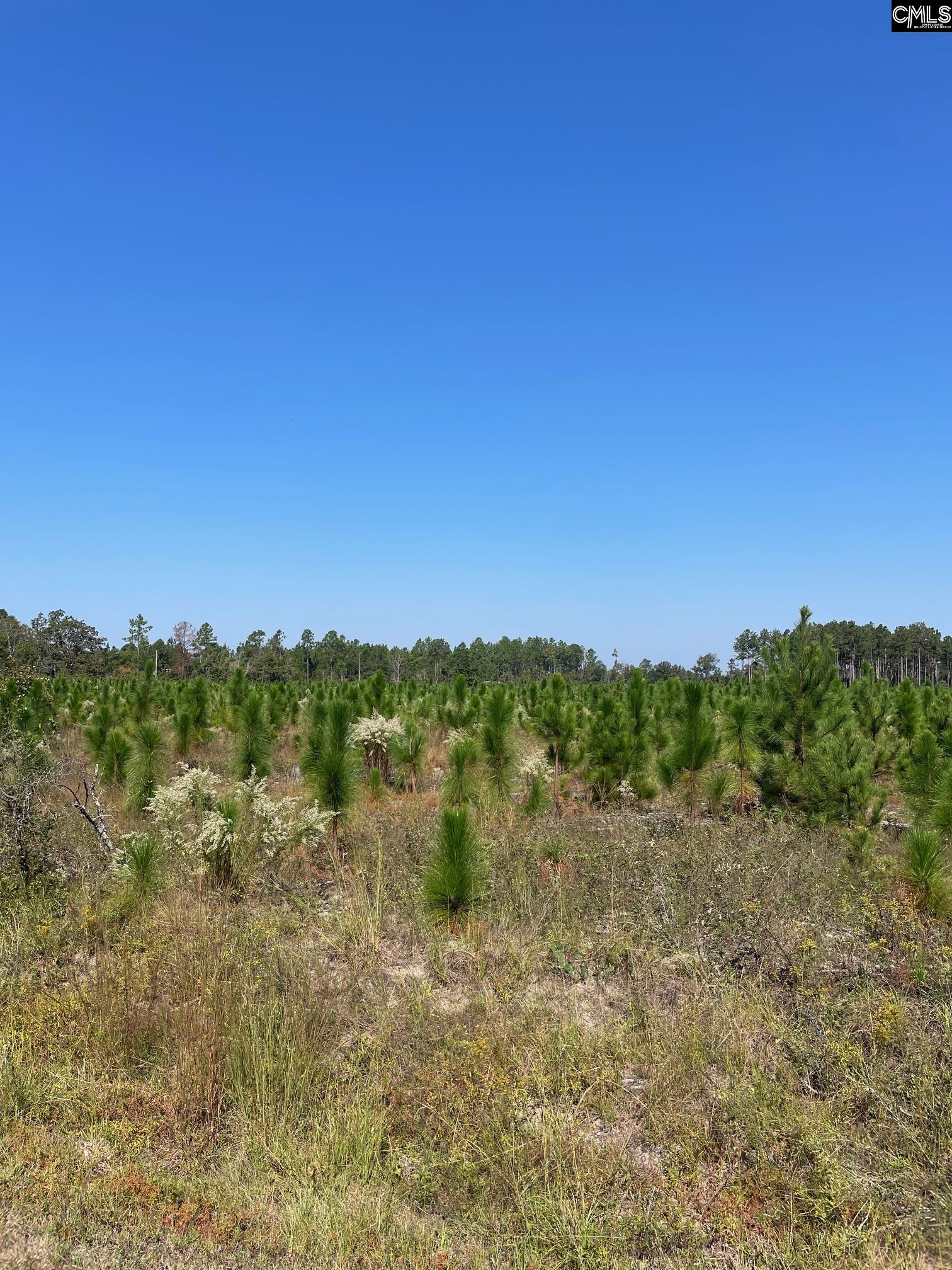 598 Truesdale Road Unit #2 Camden, SC 29020-0000