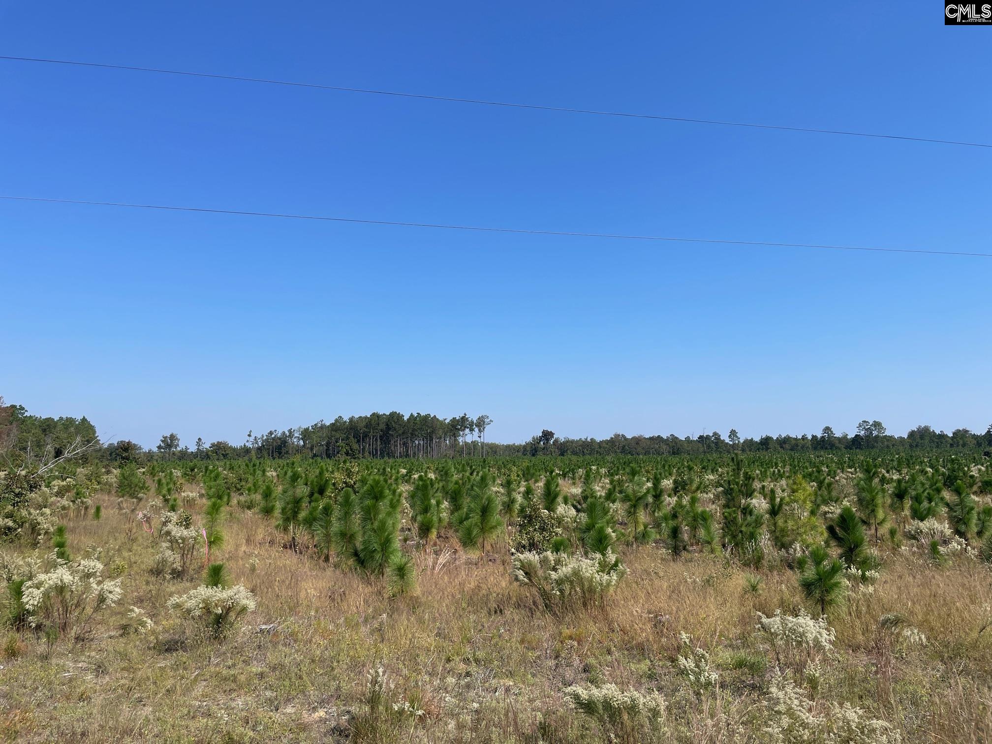 598 Truesdale Road Unit #3 Camden, SC 29020-0000