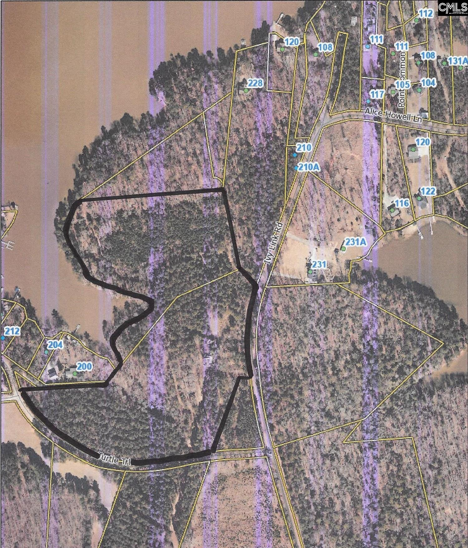 TBD Ivy Link Road Leesville, SC 29070