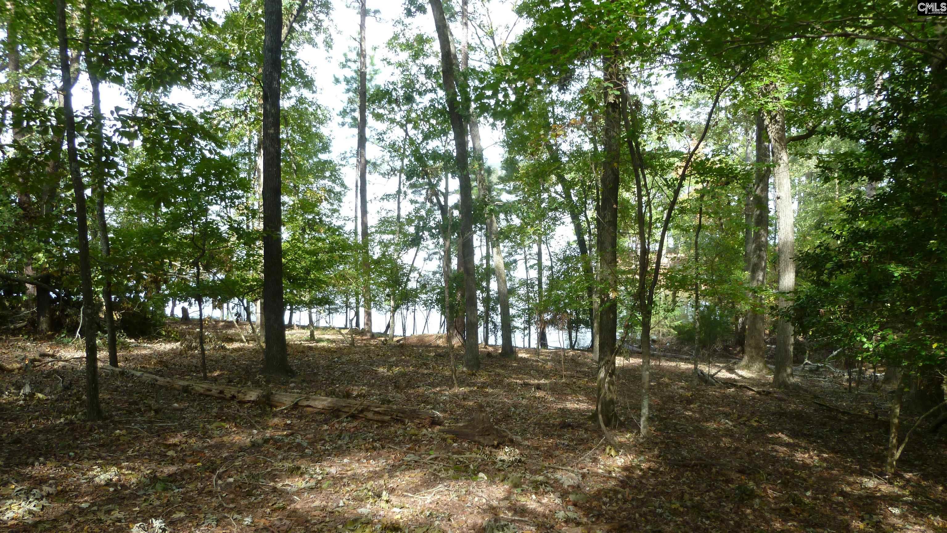 TBD Ivy Link Road, Leesville, South Carolina image 3