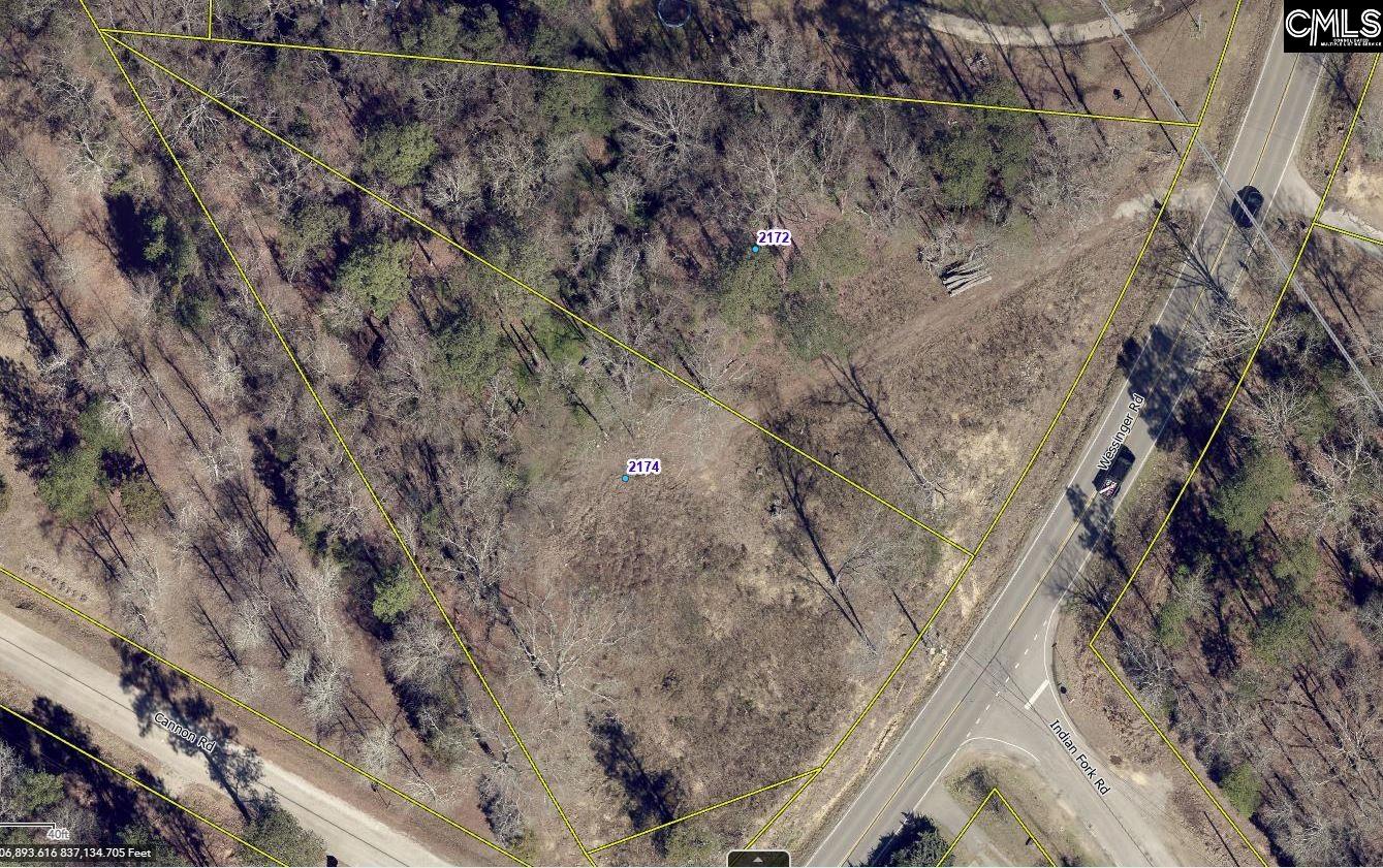 2172 Wessinger Road Chapin, SC 29036