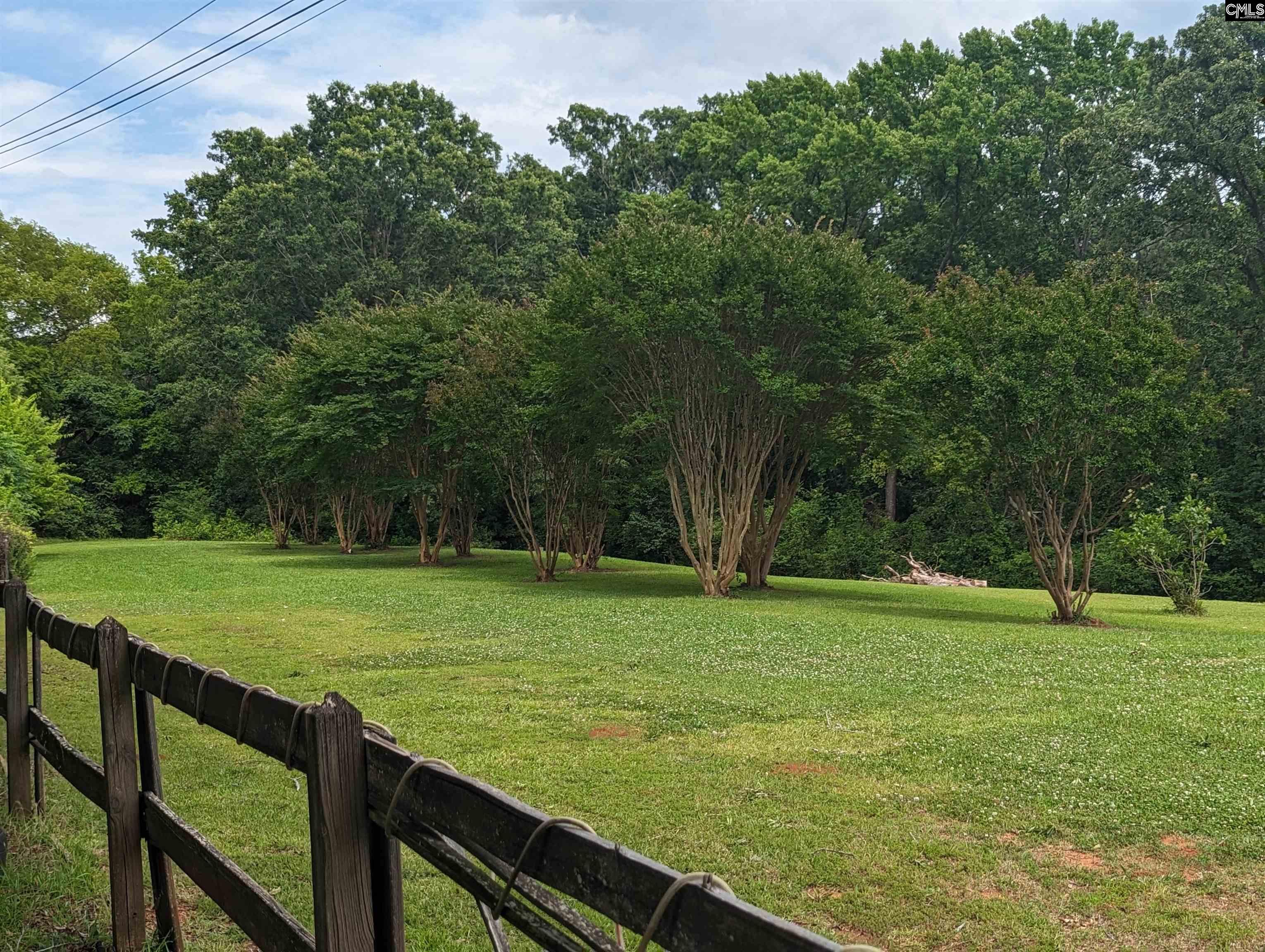 532 Pomaria Street Little Mountain, SC 29075