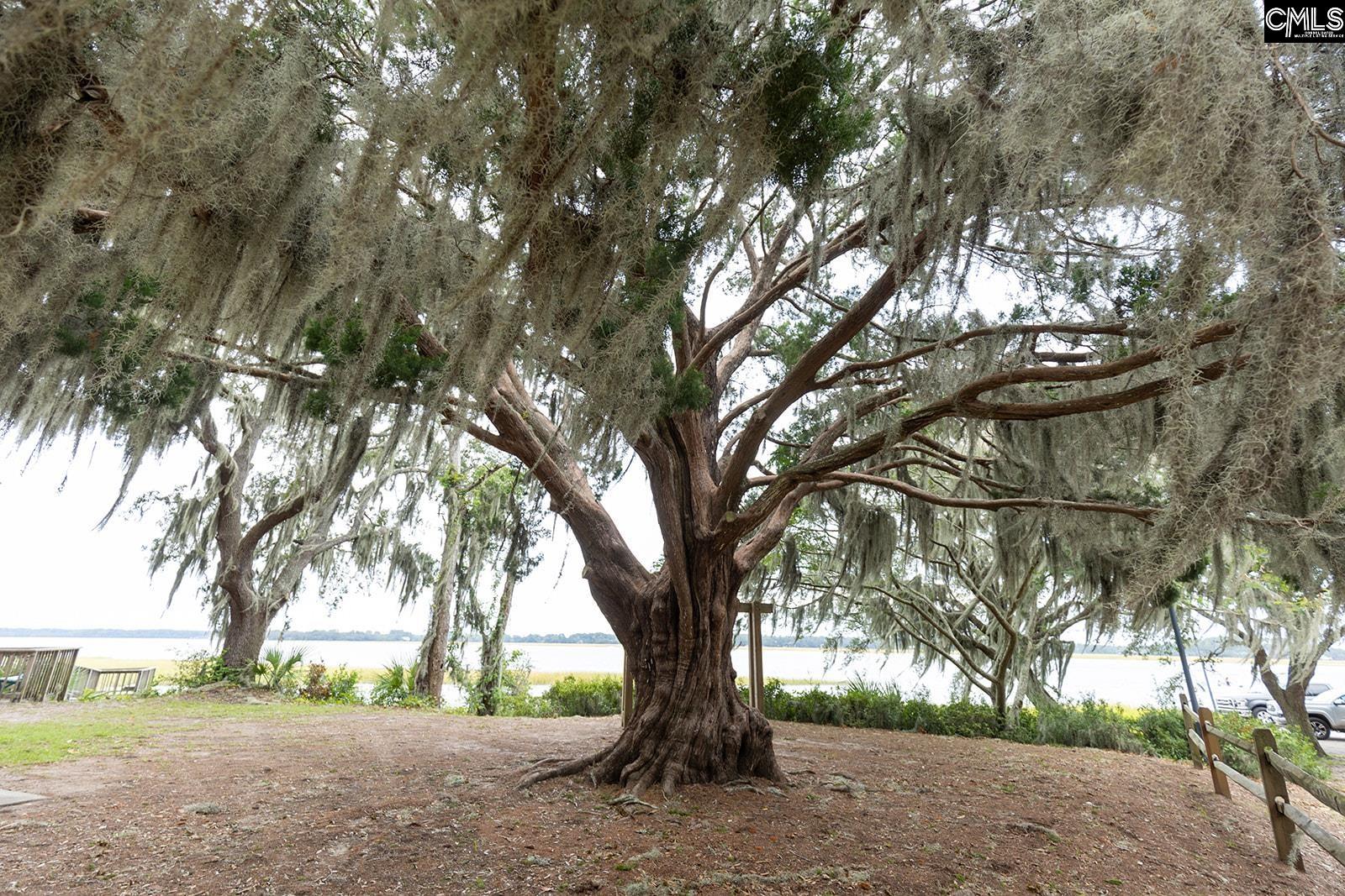 2 Albert Street Beaufort, SC 29902