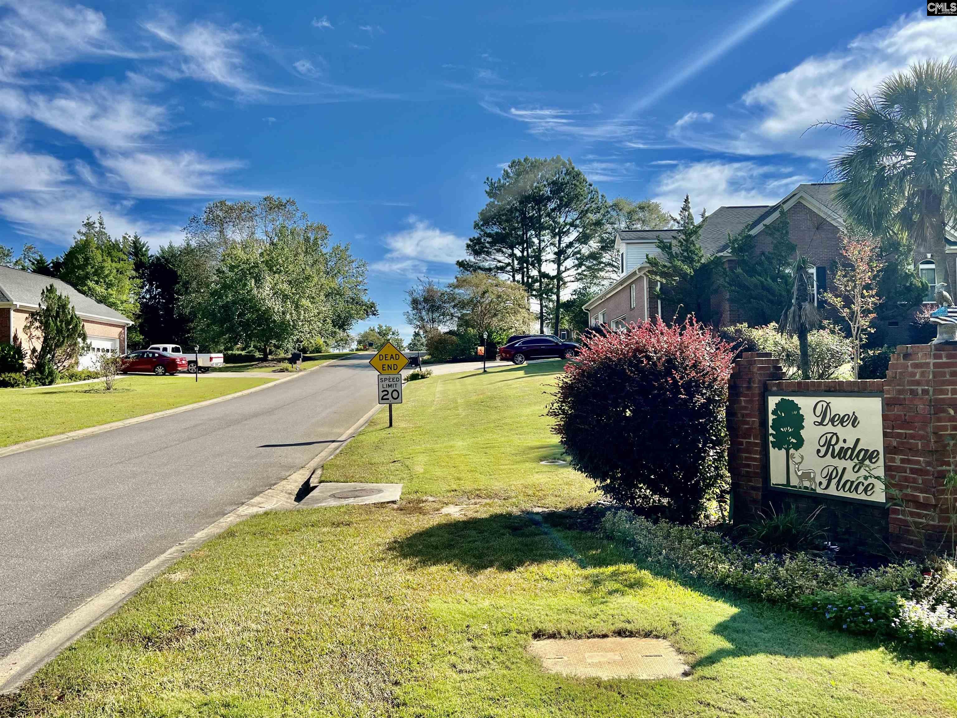 127 Deer Ridge Trail Unit #11 Gilbert, SC 29054