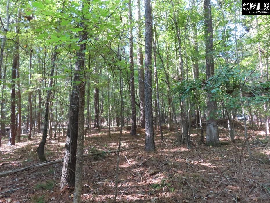 Woodside Drive, Winnsboro, South Carolina image 14