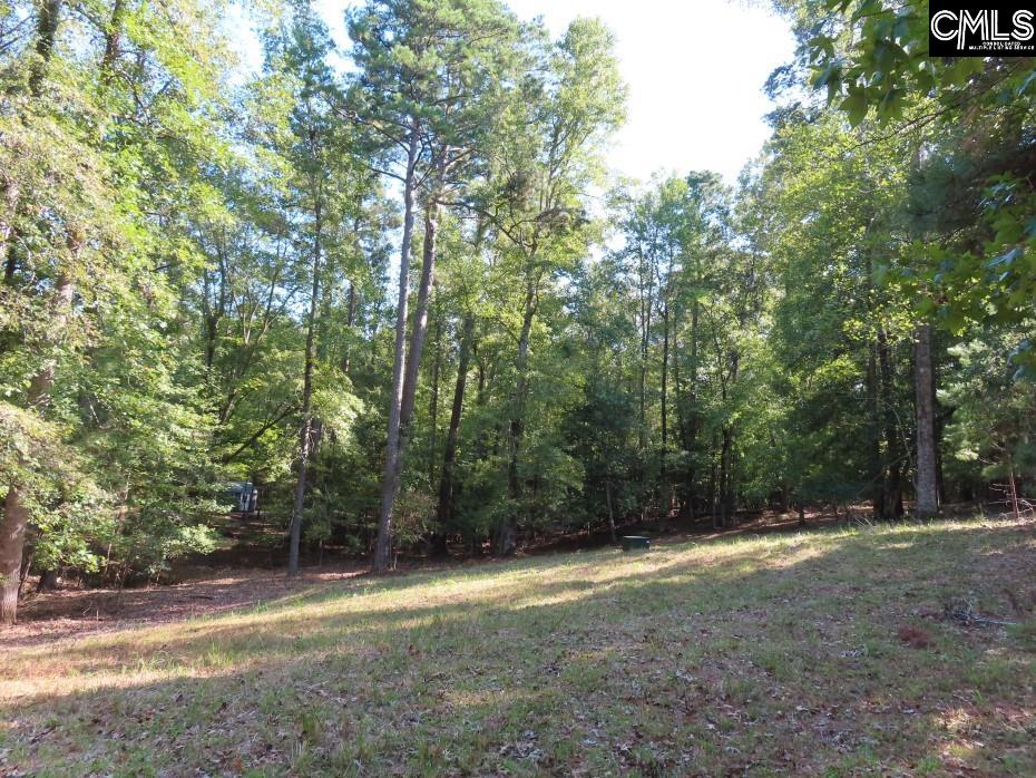 Woodside Drive, Winnsboro, South Carolina image 18
