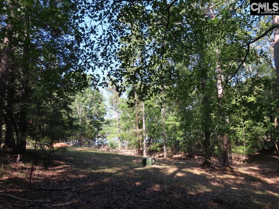 Woodside Drive, Winnsboro, South Carolina image 22
