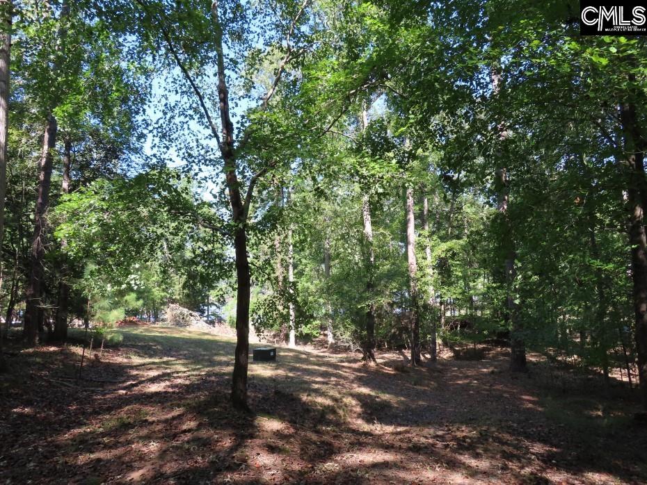 Woodside Drive, Winnsboro, South Carolina image 26
