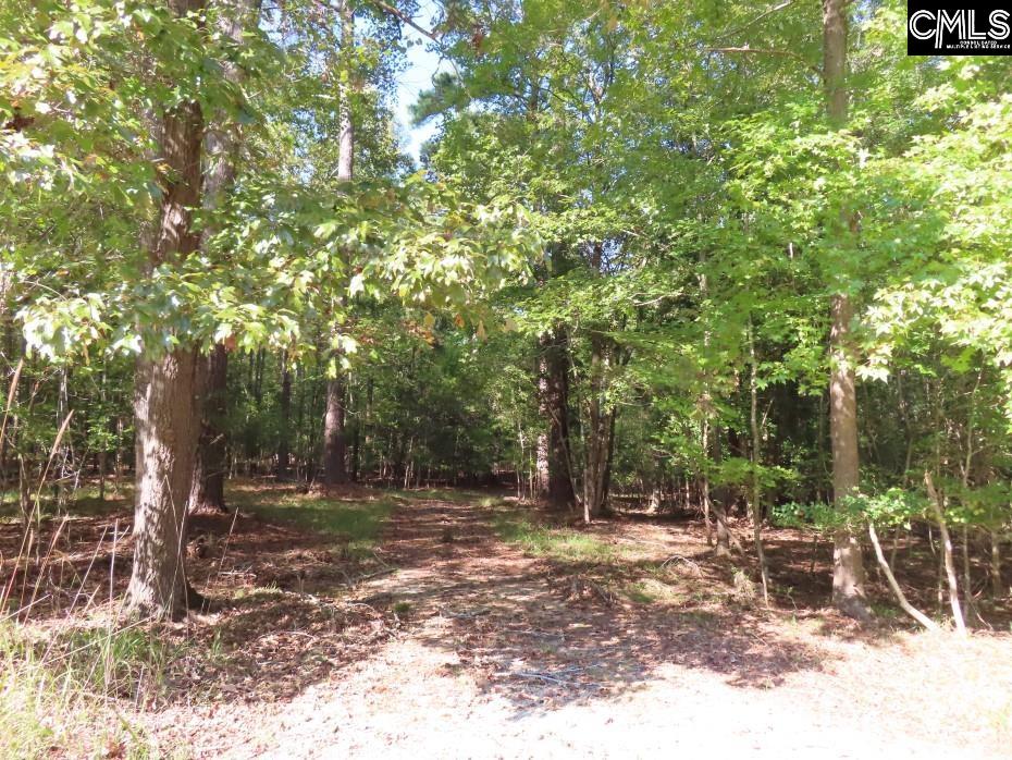 Woodside Drive, Winnsboro, South Carolina image 30