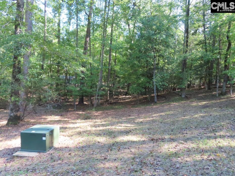 Woodside Drive, Winnsboro, South Carolina image 4