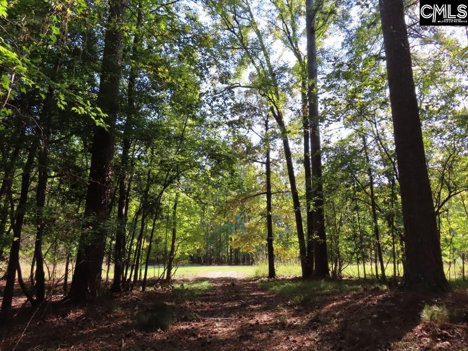 Woodside Drive, Winnsboro, South Carolina image 40