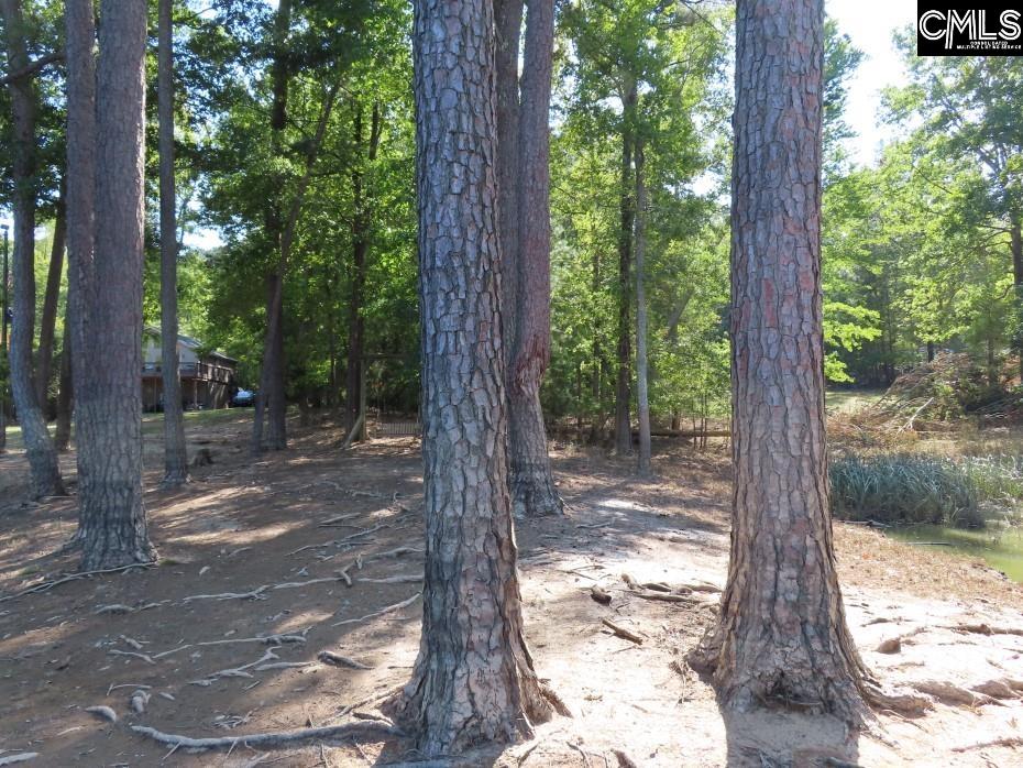 Woodside Drive, Winnsboro, South Carolina image 43