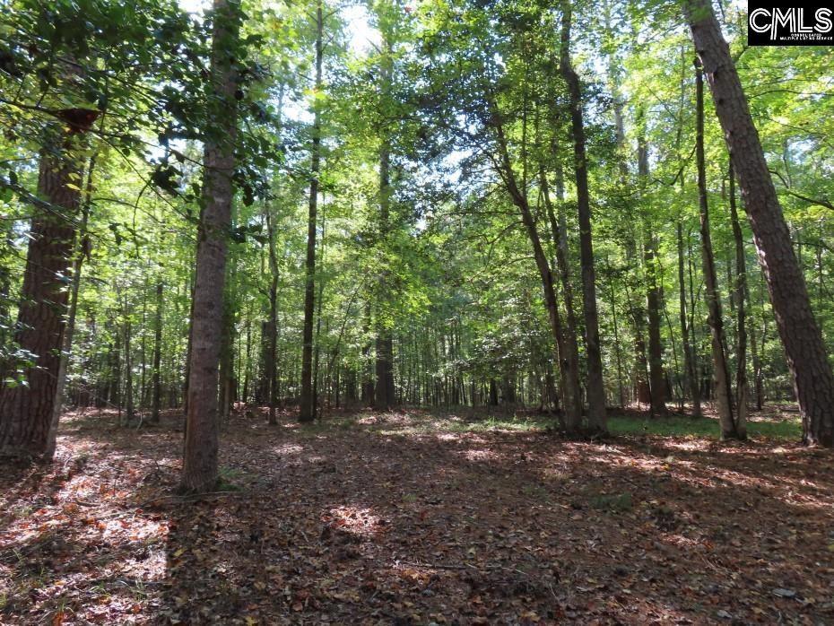 Woodside Drive, Winnsboro, South Carolina image 44