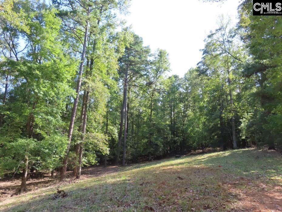 Woodside Drive, Winnsboro, South Carolina image 45