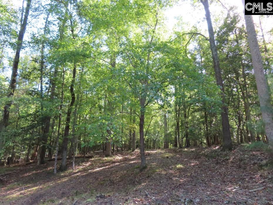 Woodside Drive, Winnsboro, South Carolina image 50