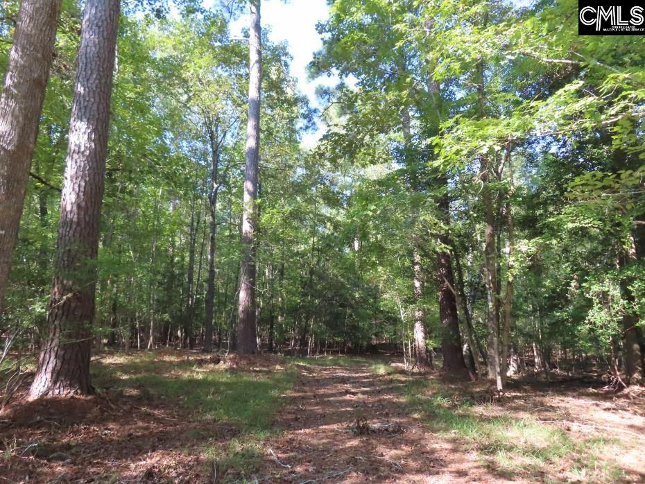Woodside Drive, Winnsboro, South Carolina image 6