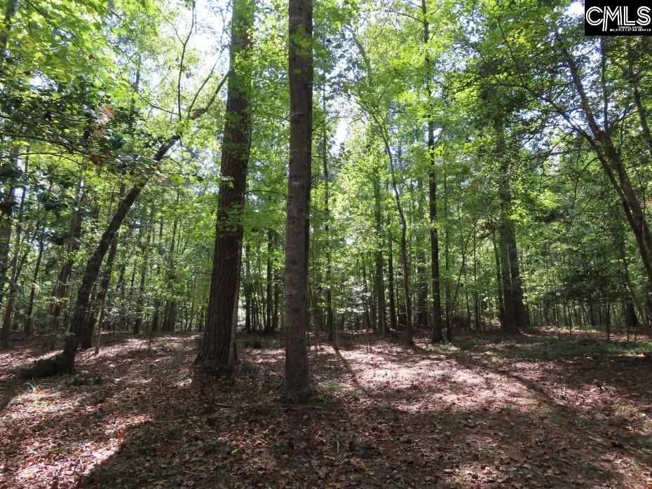 Woodside Drive UNIT 9 and 10 Winnsboro, SC 29180