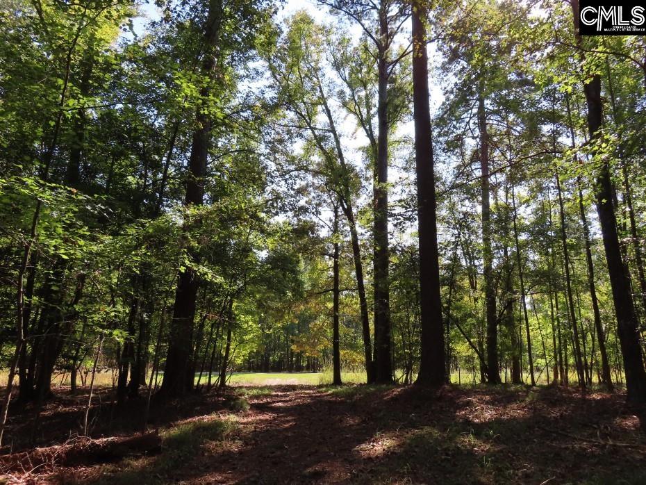 Woodside Drive, Winnsboro, South Carolina image 10