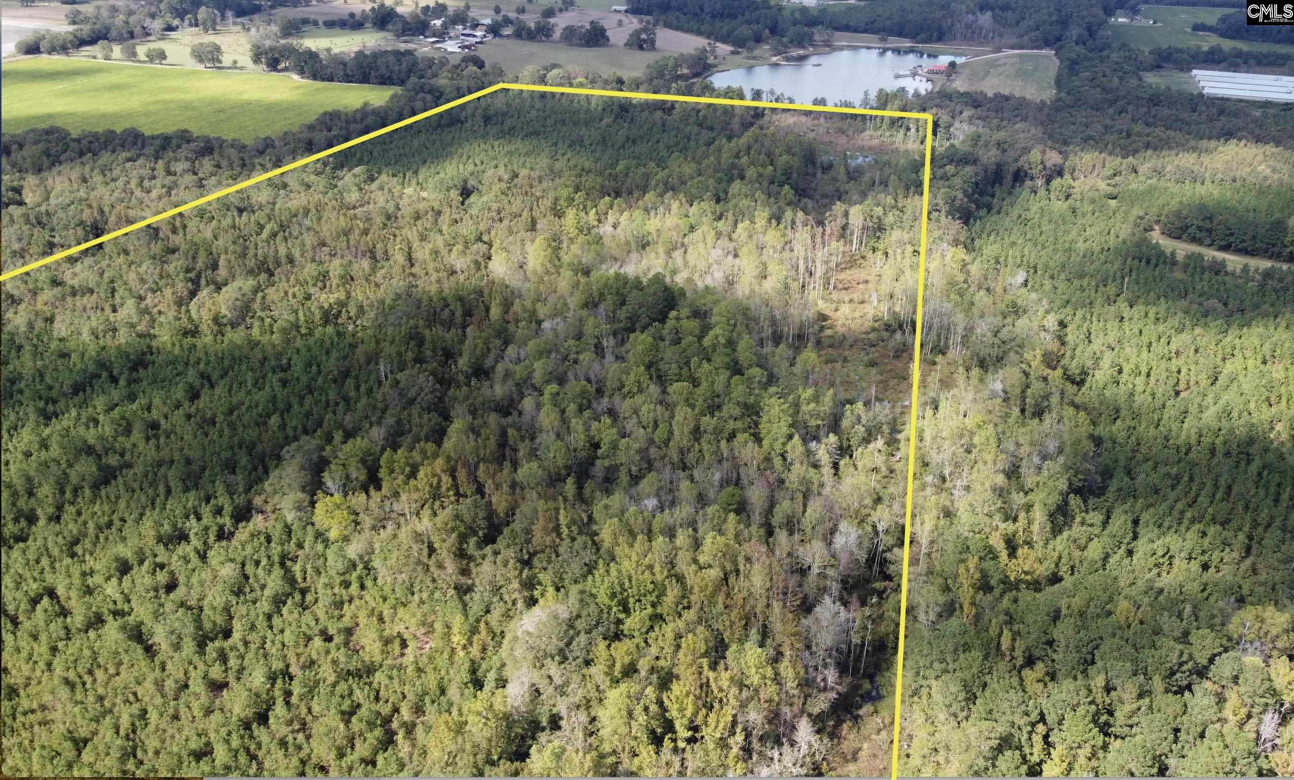 1308 Fire Tower Road, Springfield, South Carolina image 3