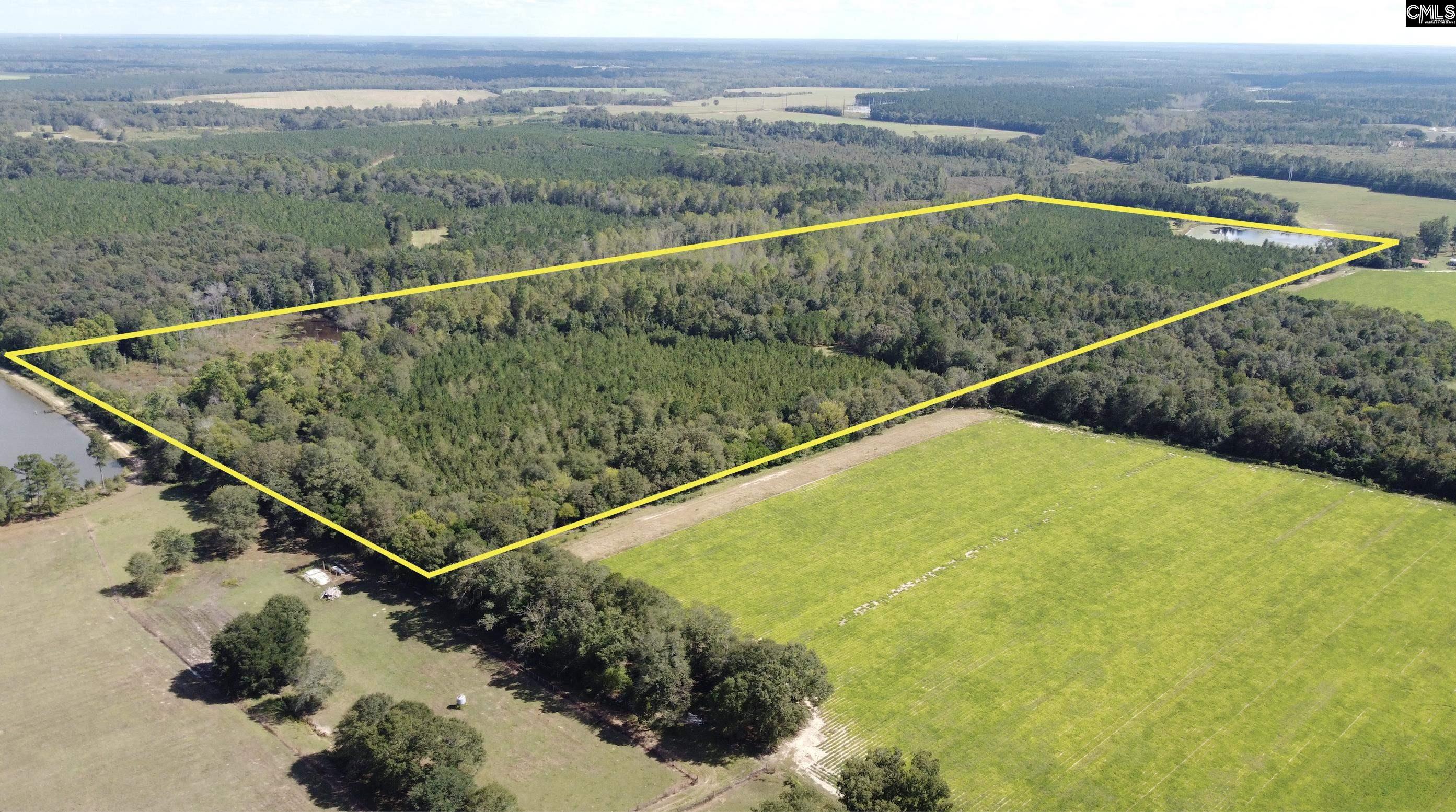 1308 Fire Tower Road, Springfield, South Carolina image 4