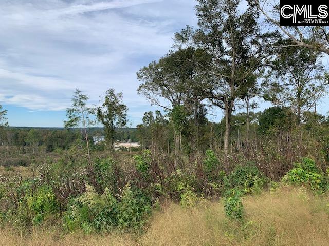 3357 John G Richards Road Camden, SC 29020