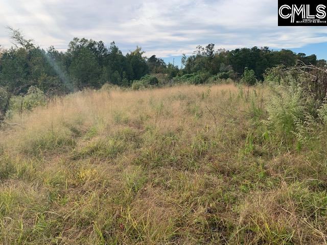 3357 John G Richards Road, Camden, South Carolina image 7