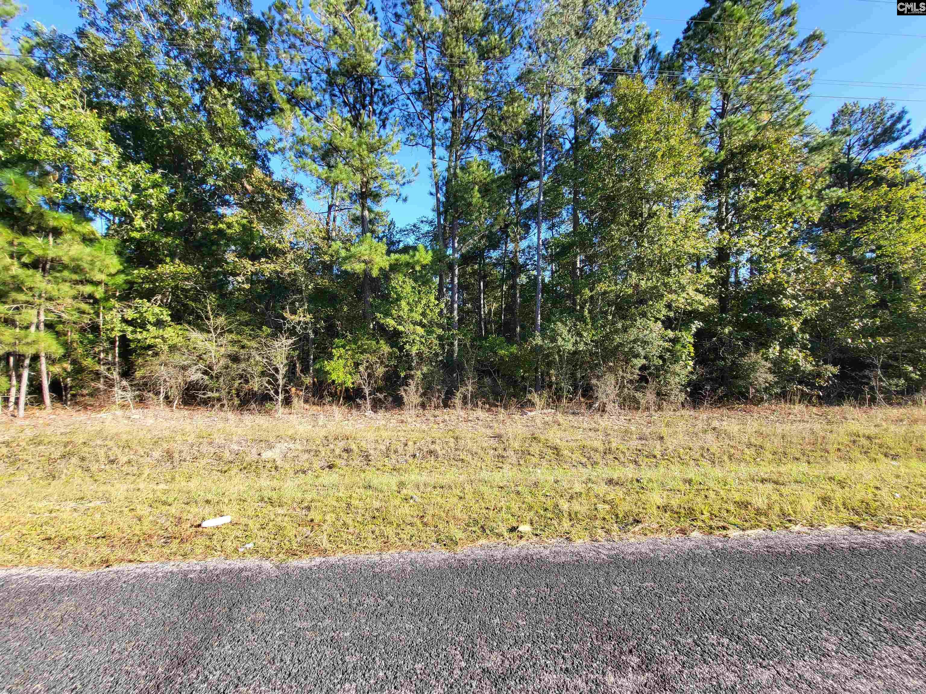 TBD Catalina Boulevard #LOT 7, North, South Carolina image 1
