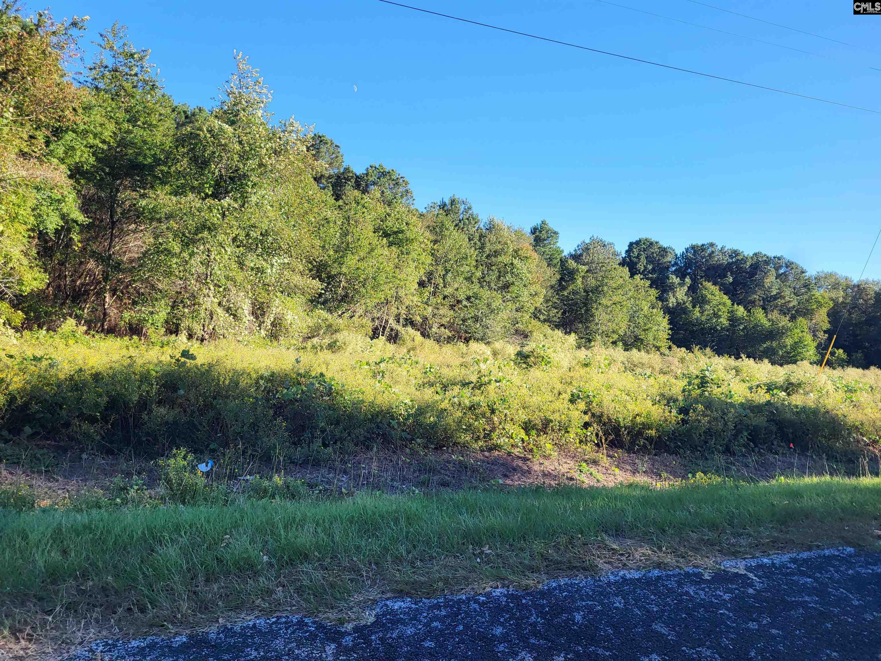 TBD Catalina Boulevard #LOT 6, North, South Carolina image 1