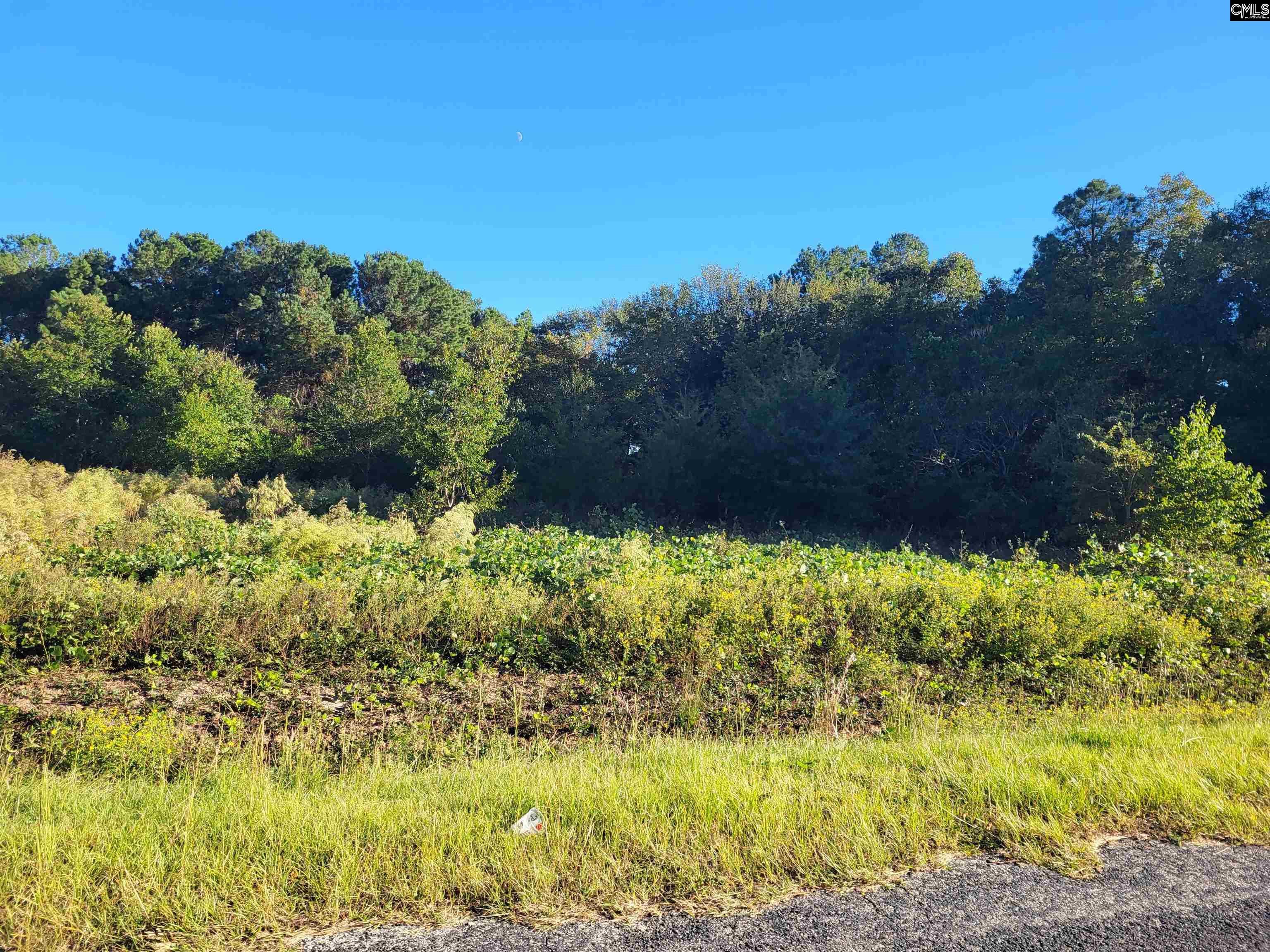 TBD Catalina Boulevard #LOT 3, North, South Carolina image 1