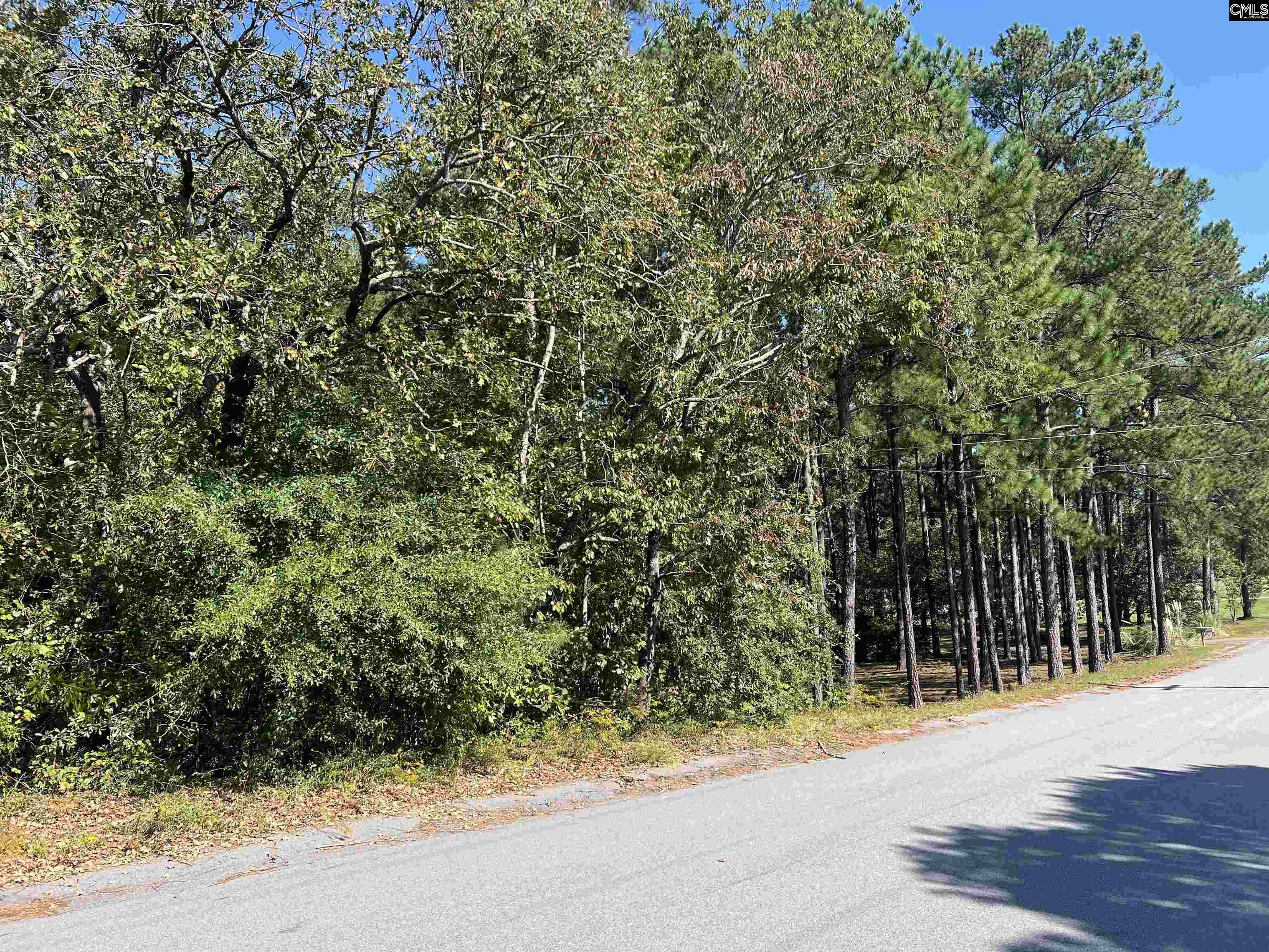 132 Stonebridge Drive Gaston, SC 29053