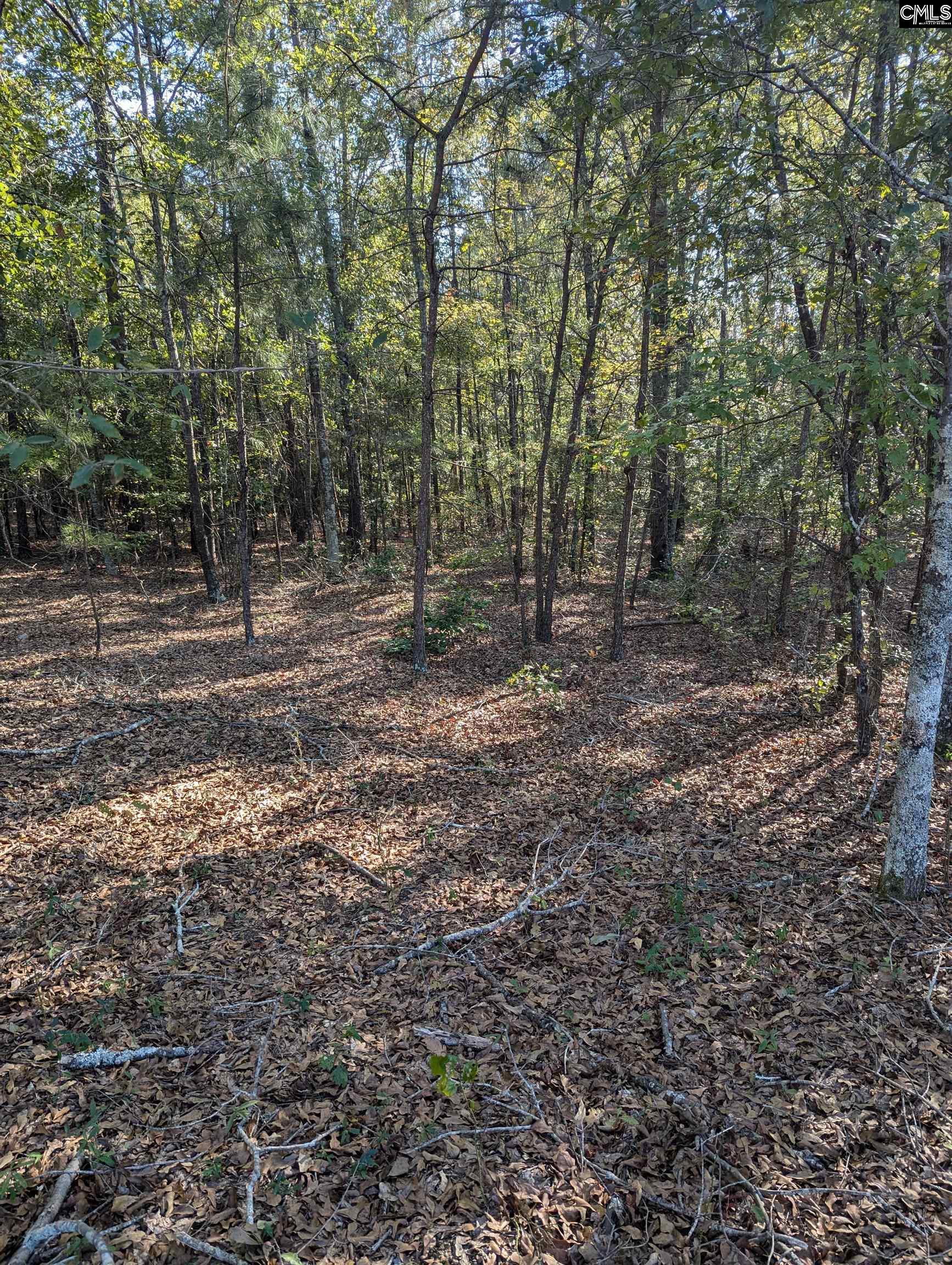 69 Fletcher Drive Kershaw, SC 29067