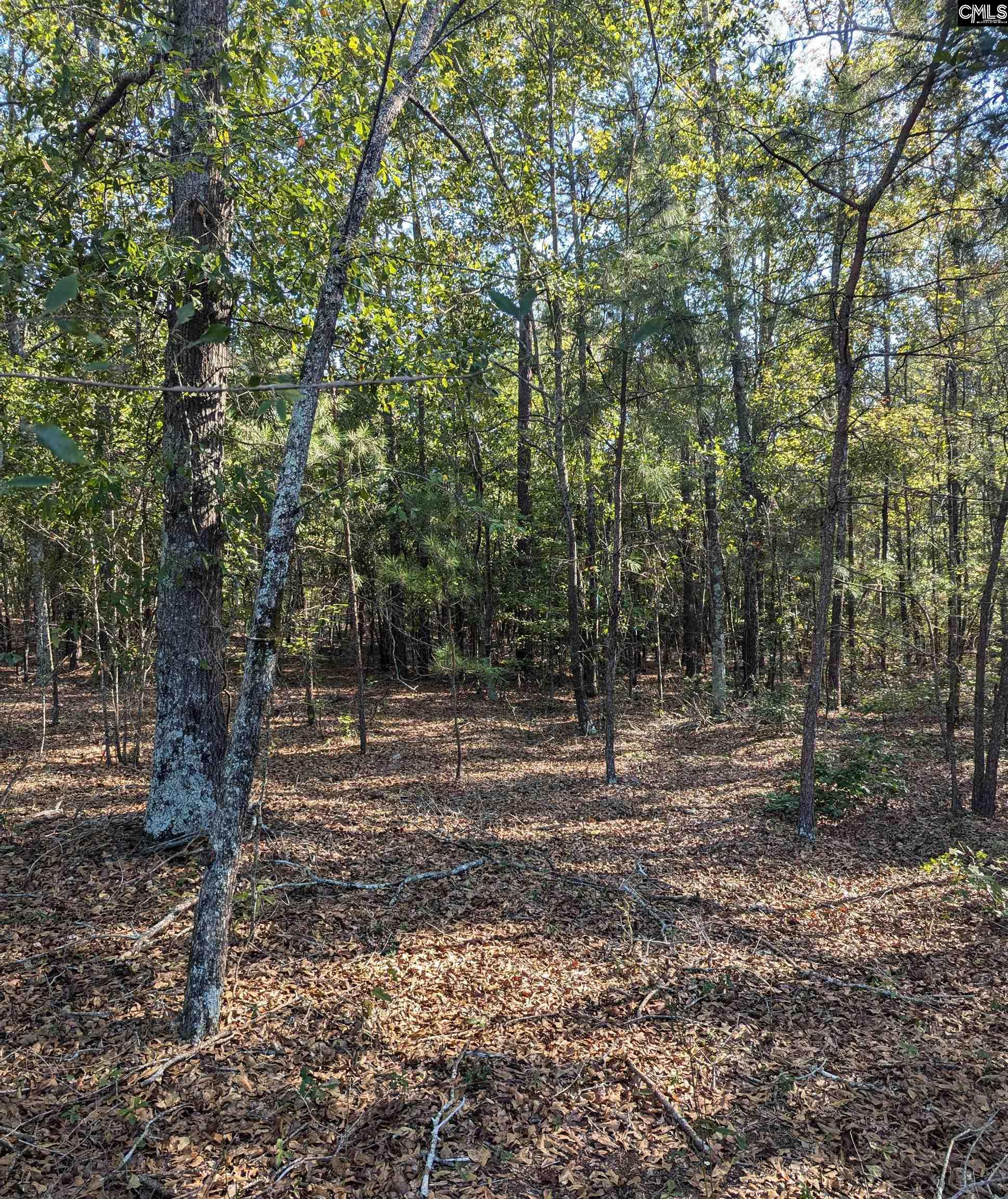 69 Fletcher Drive, Kershaw, South Carolina image 2