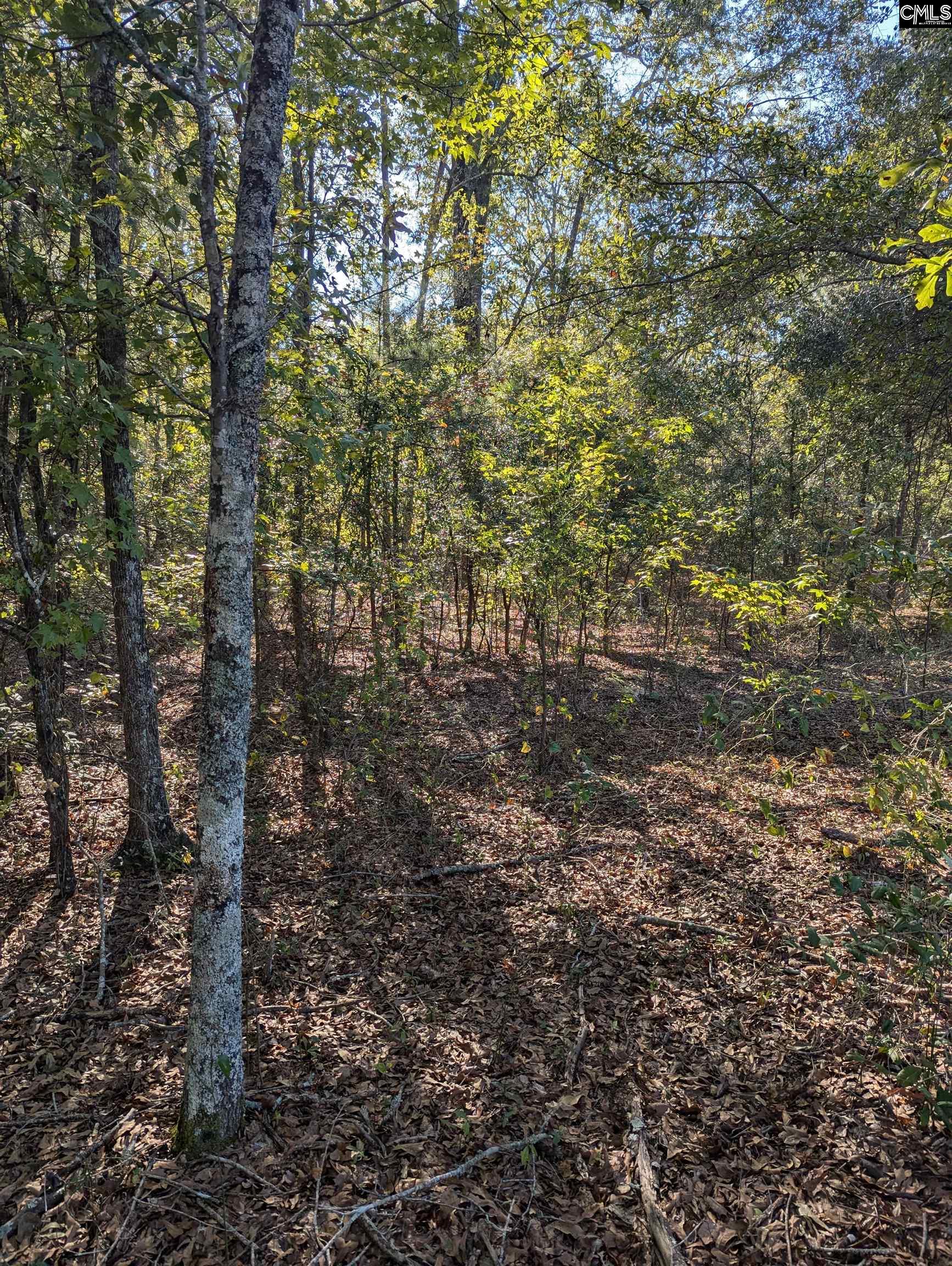 69 Fletcher Drive, Kershaw, South Carolina image 3