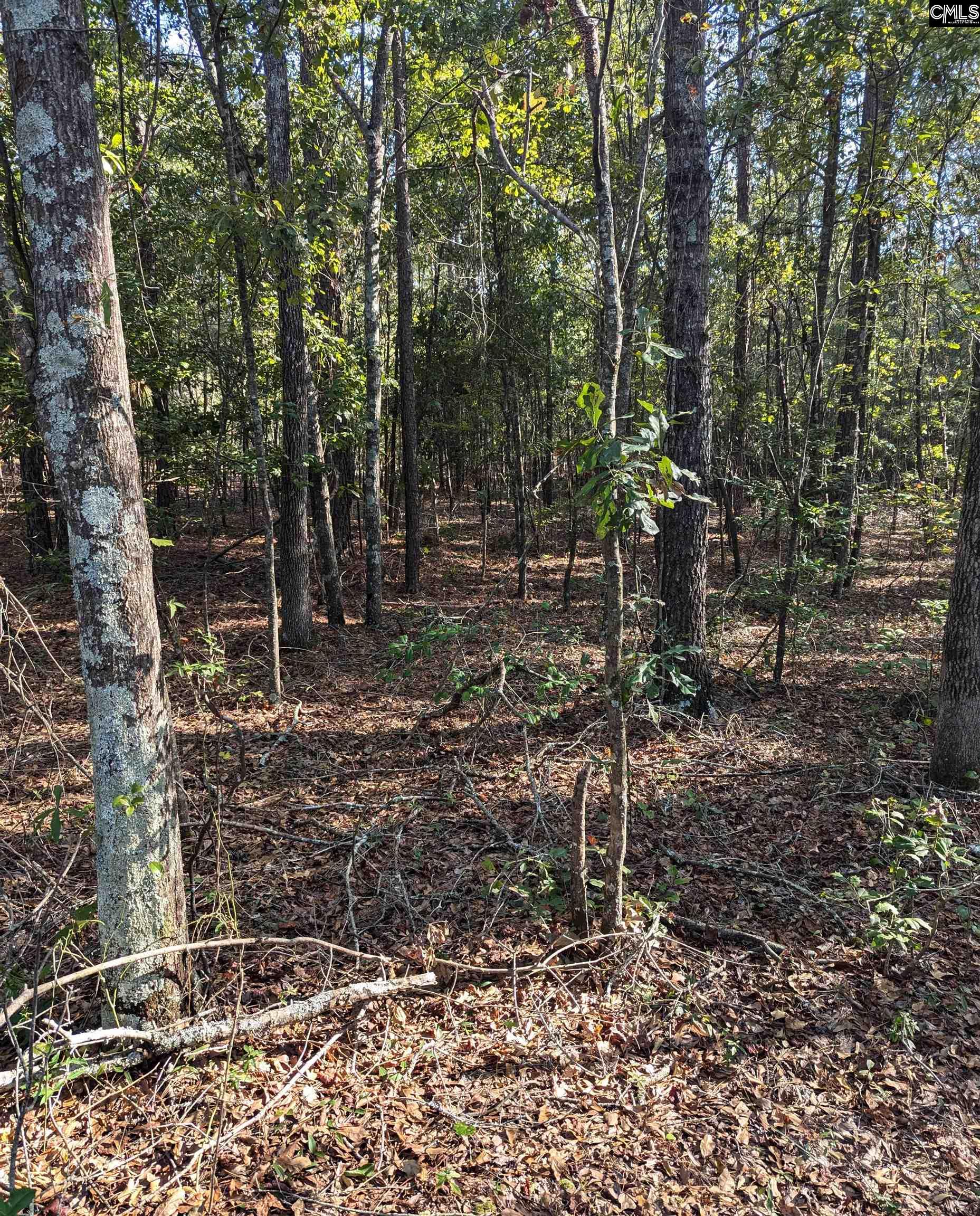 69 Fletcher Drive, Kershaw, South Carolina image 4
