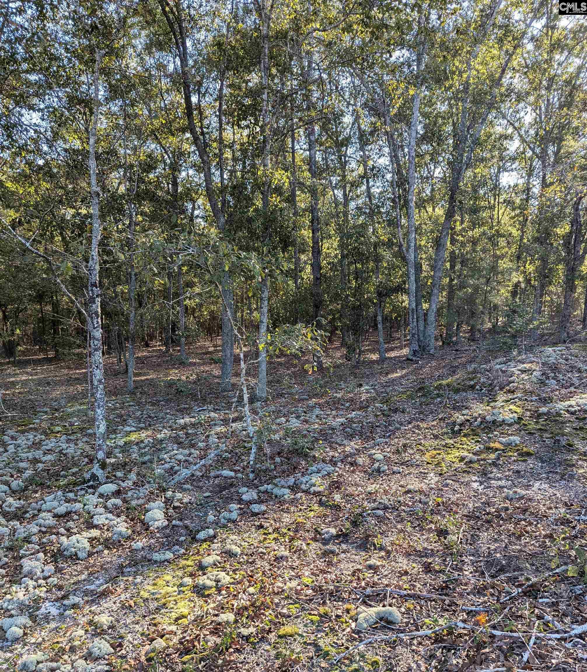 69 Fletcher Drive, Kershaw, South Carolina image 8