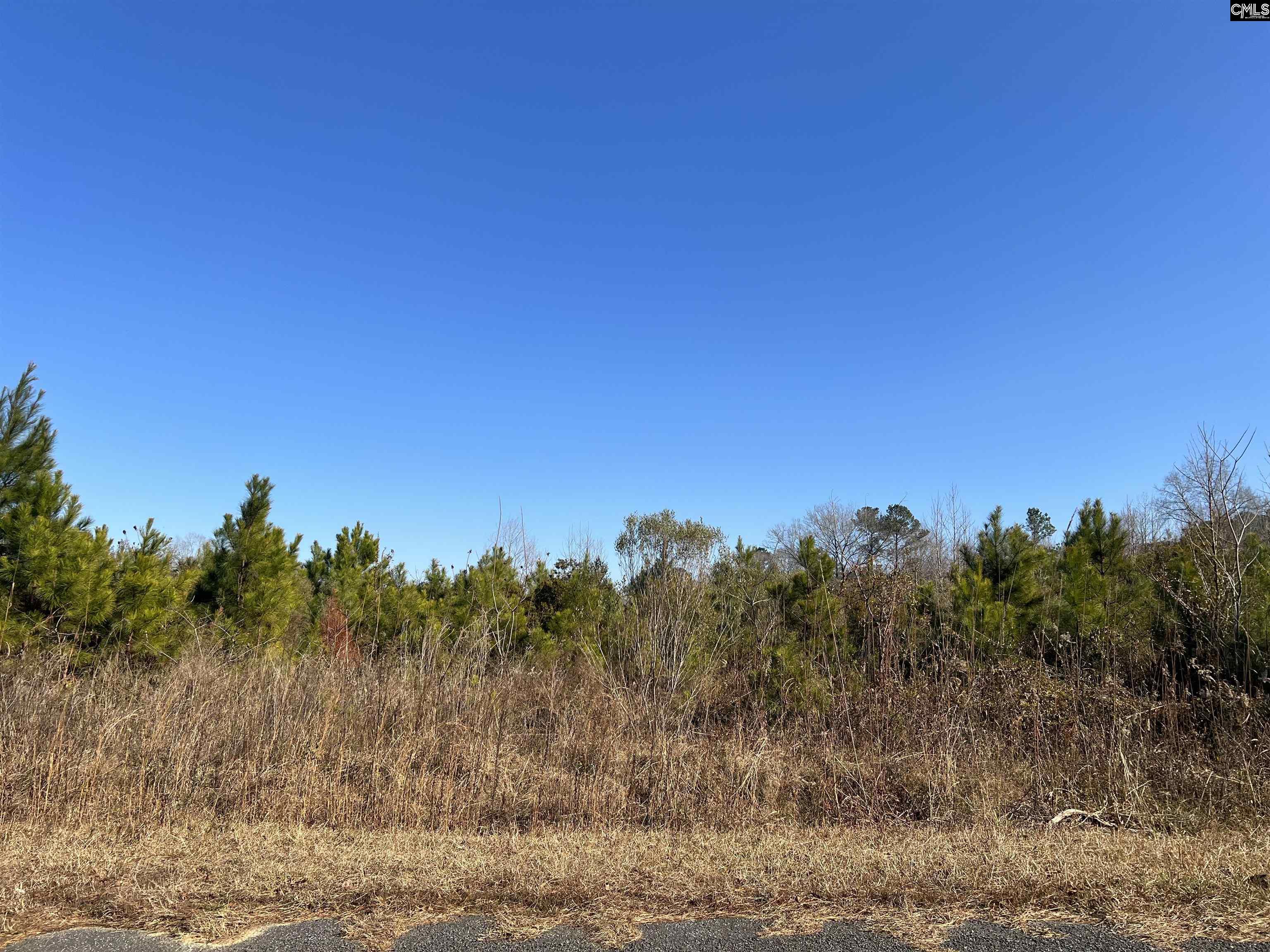 0 & 00 Base Hill Road, Hopkins, South Carolina image 3