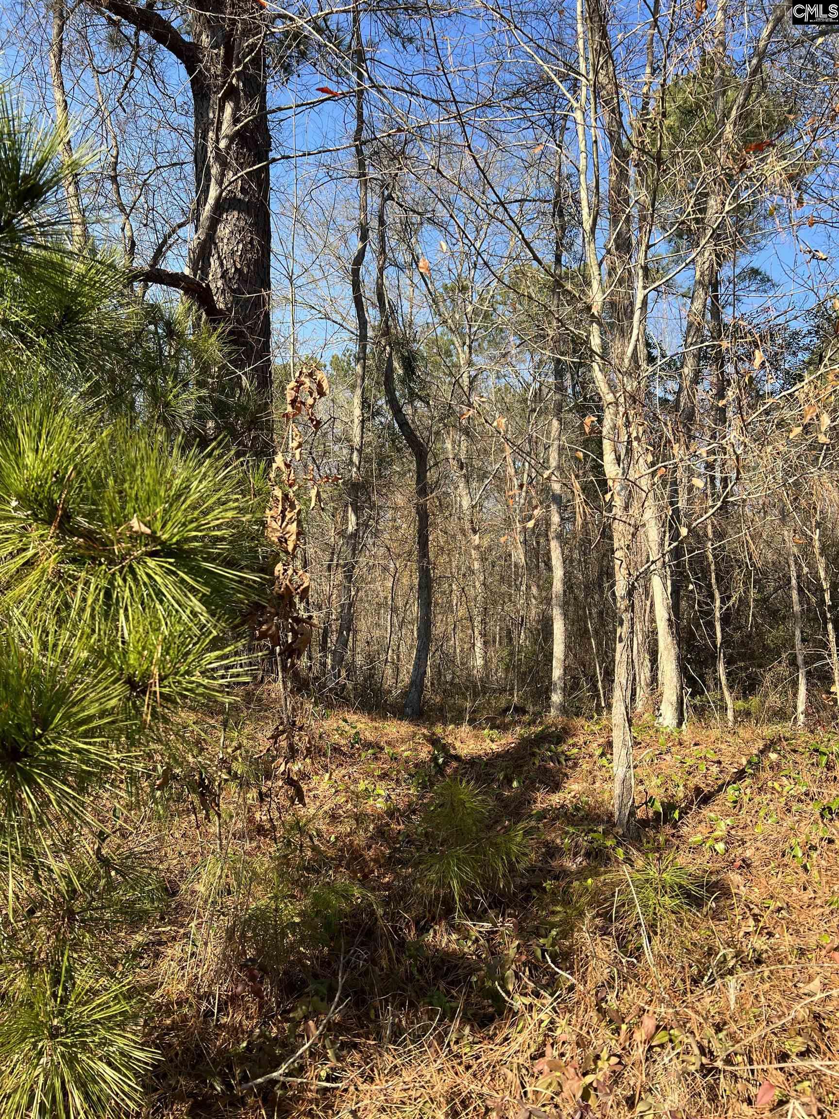 0 & 00 Base Hill Road, Hopkins, South Carolina image 4