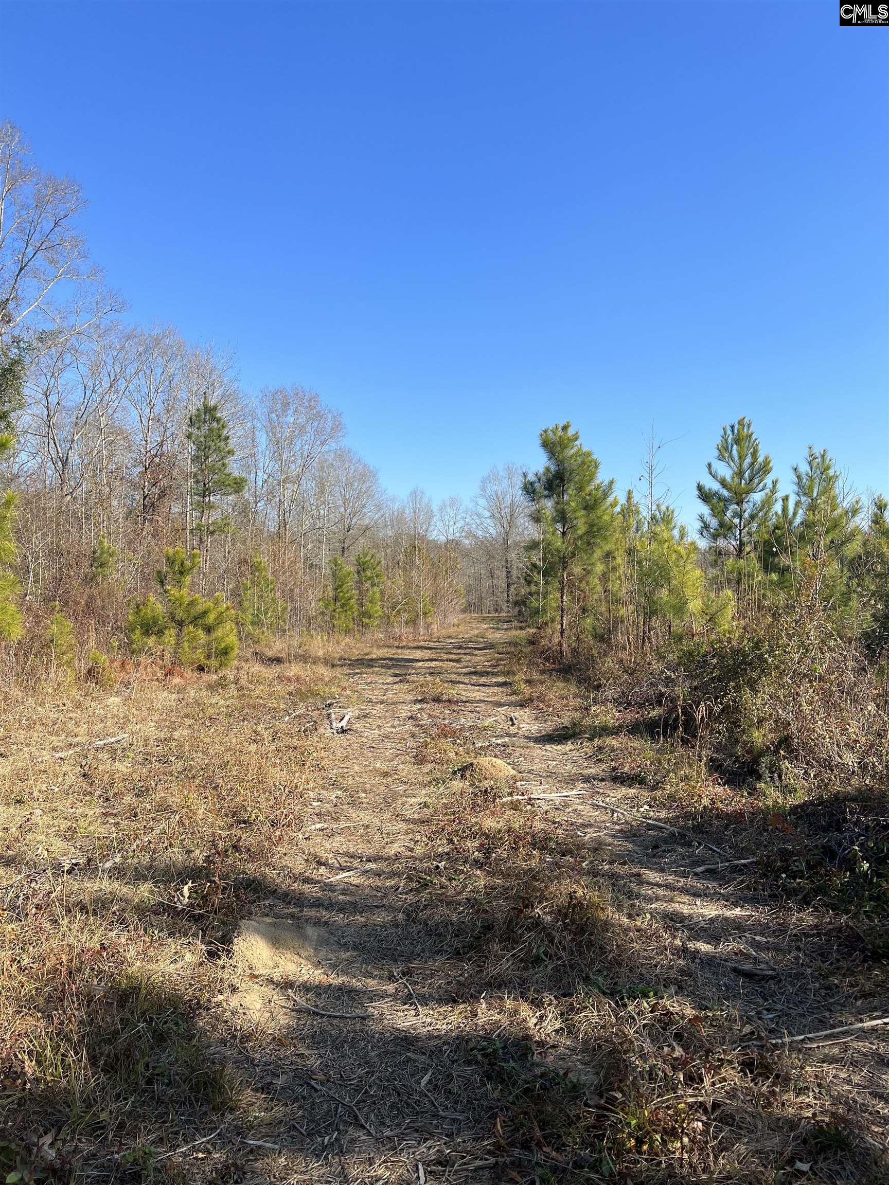 0 & 00 Base Hill Road, Hopkins, South Carolina image 5