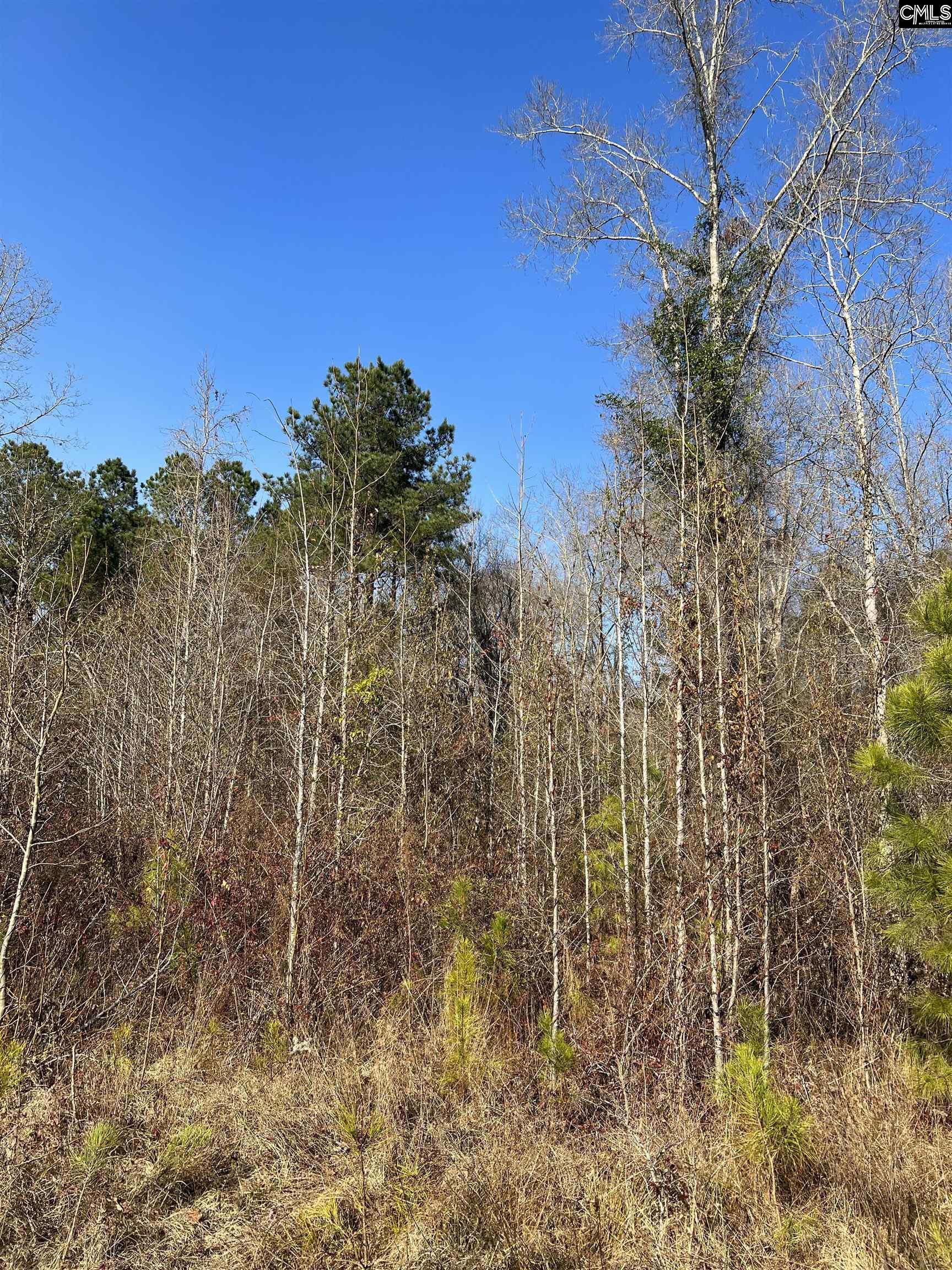 0 & 00 Base Hill Road, Hopkins, South Carolina image 6