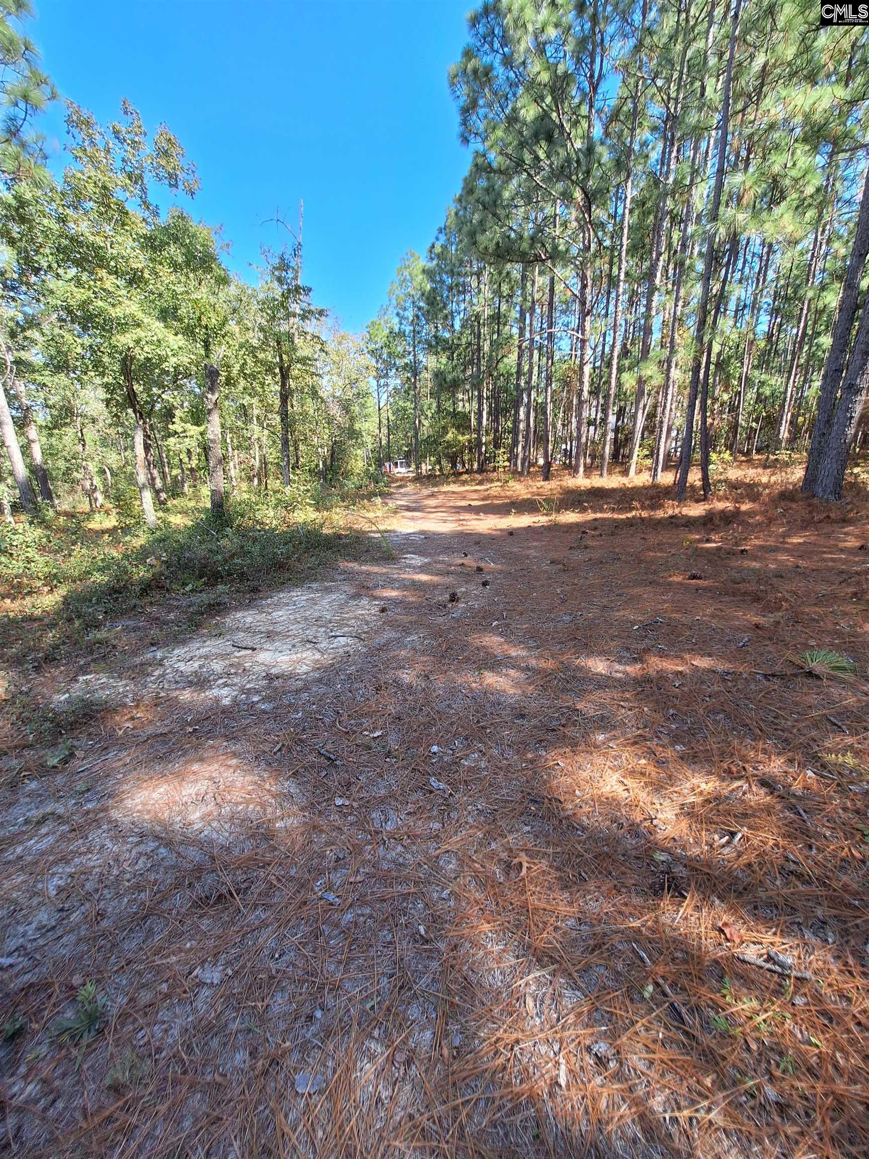 356 B Kyzer Road Lexington, SC 29073