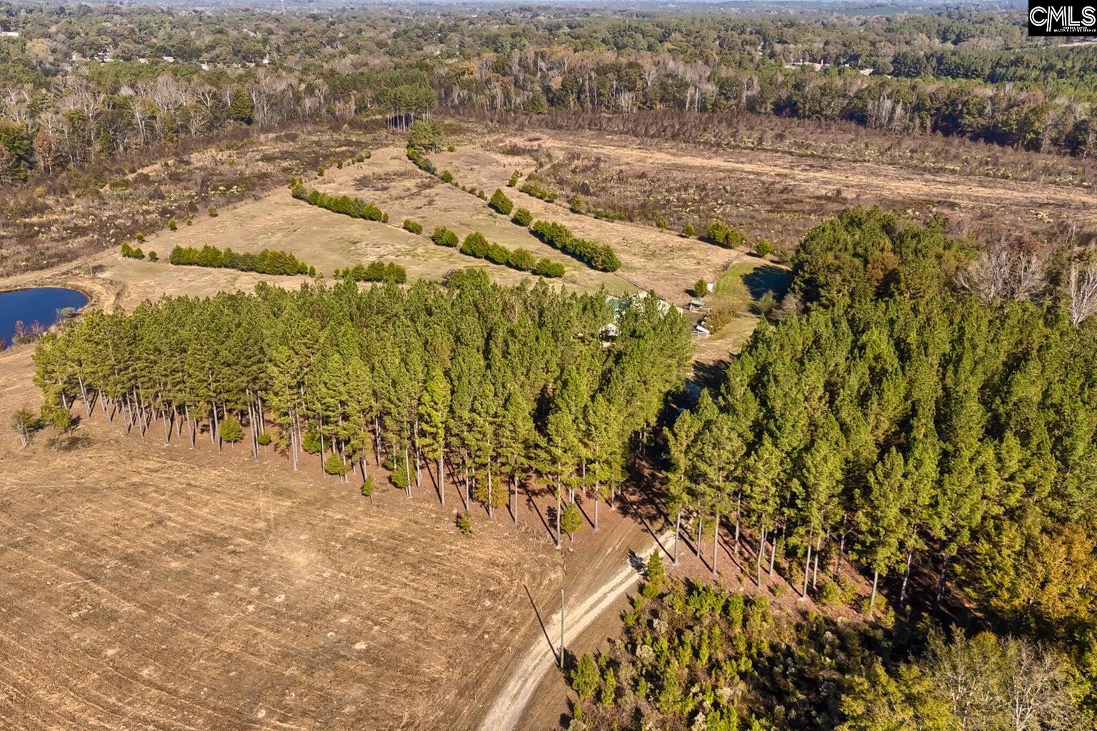 226 Cottage Walk Lane, Saluda, South Carolina image 33