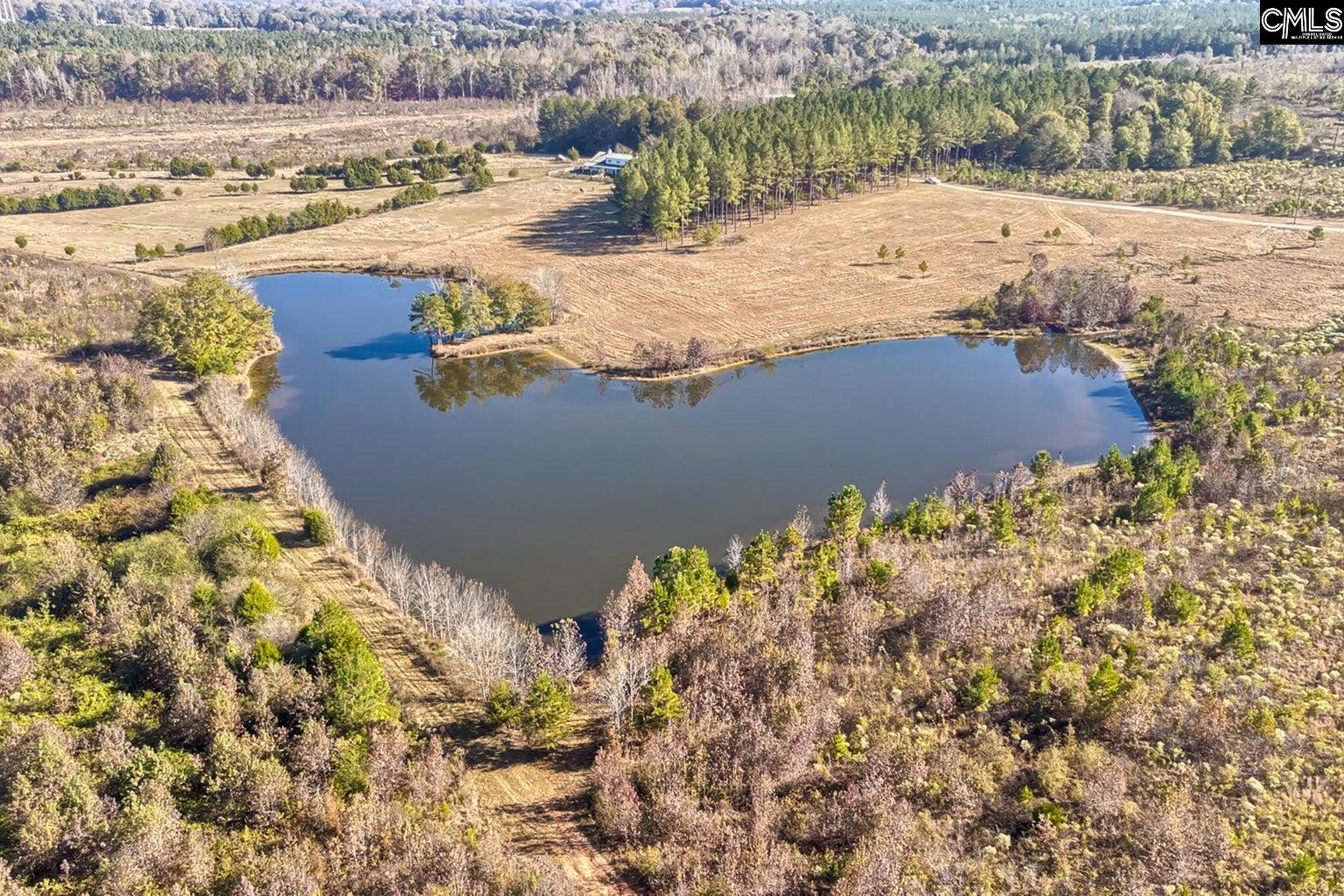 226 Cottage Walk Lane, Saluda, South Carolina image 37