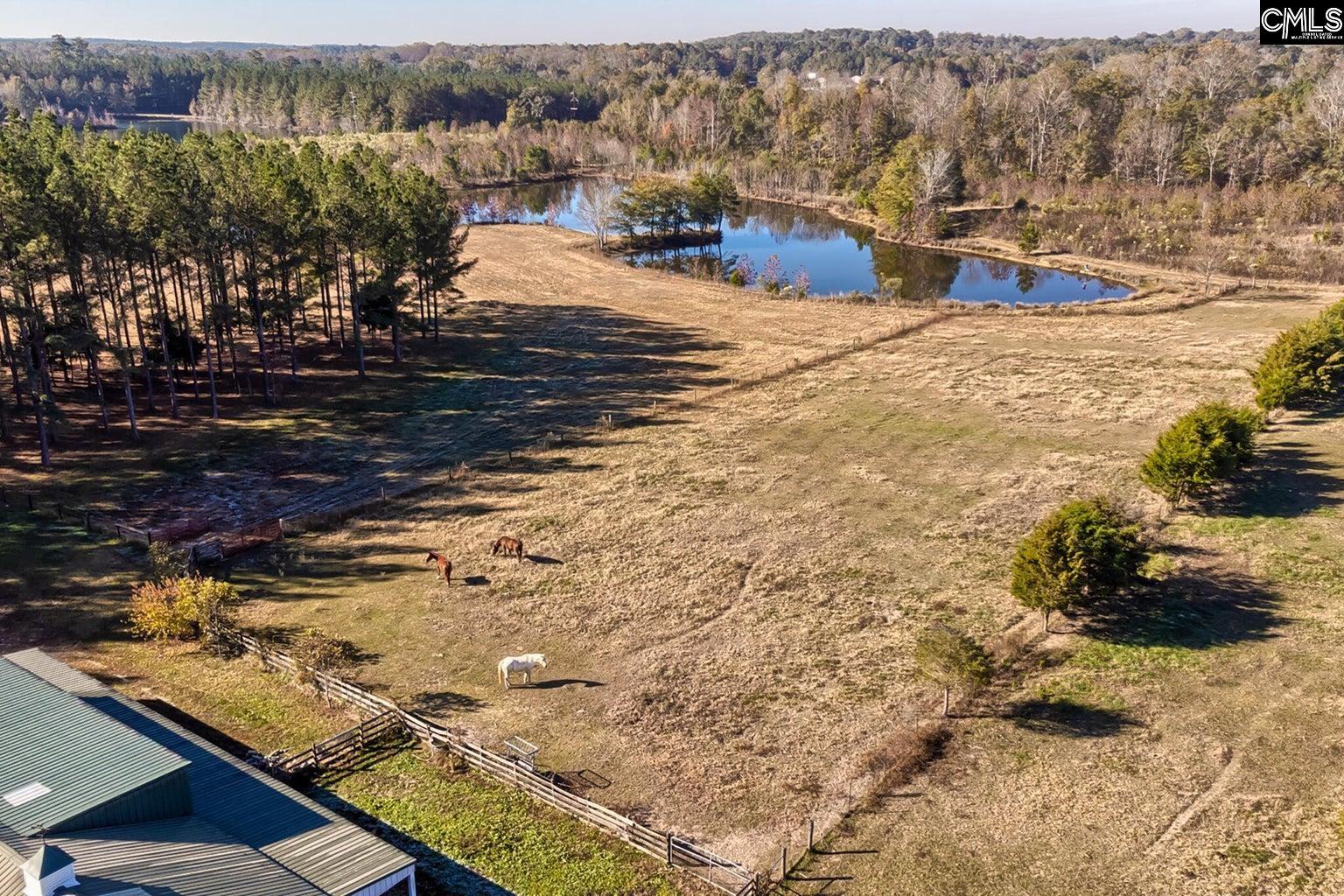 226 Cottage Walk Lane, Saluda, South Carolina image 46