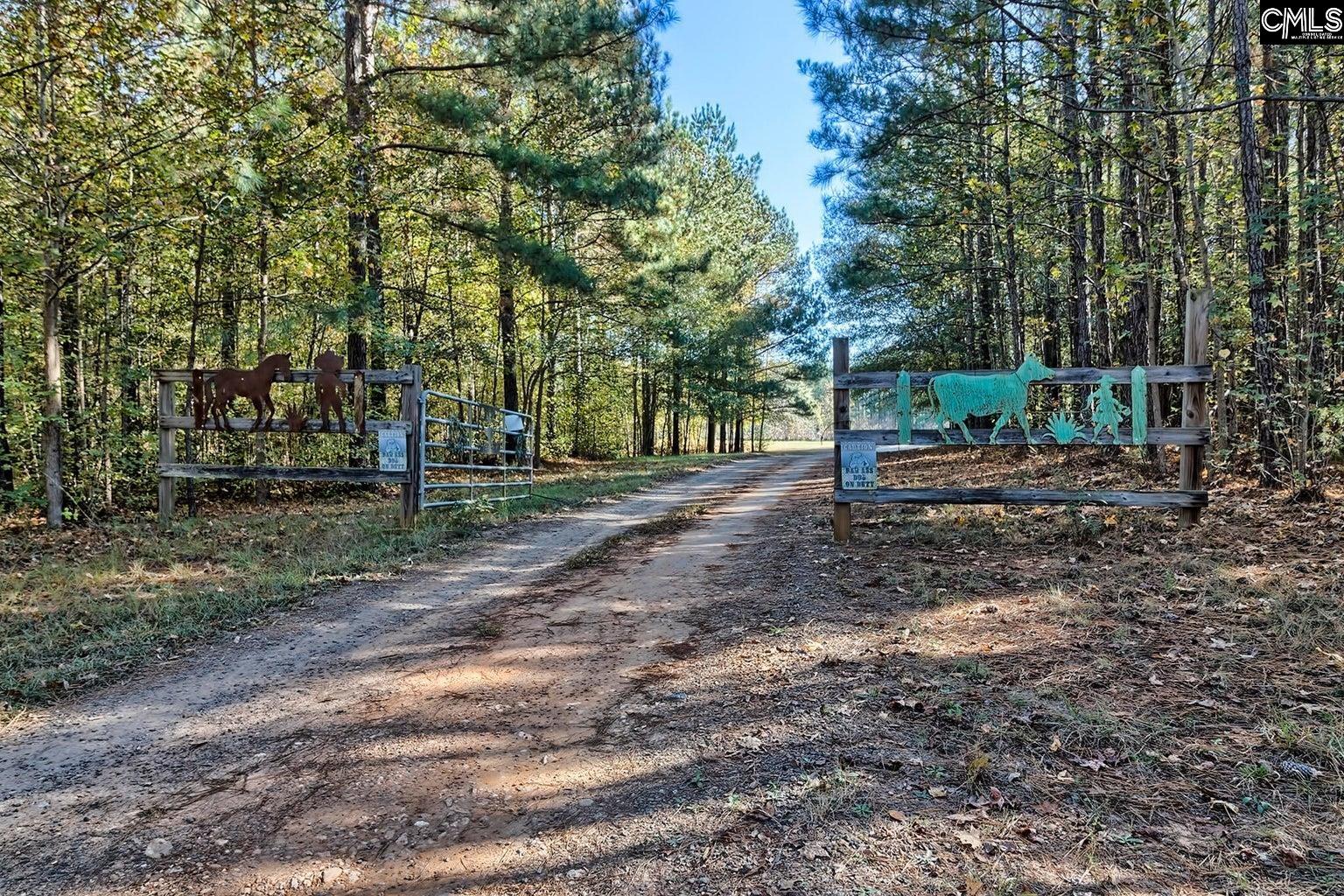 226 Cottage Walk Lane, Saluda, South Carolina image 47