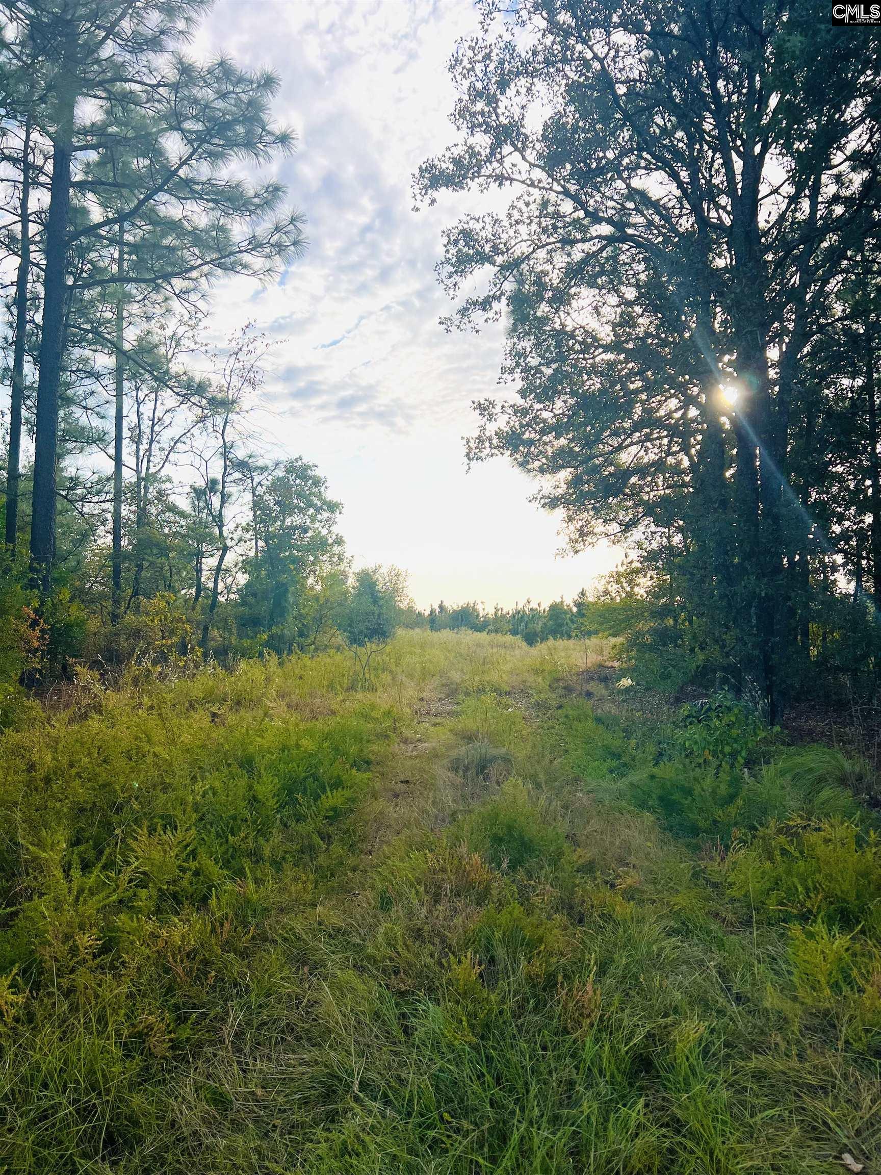 1435 Old Charleston Highway Pelion, SC 29123