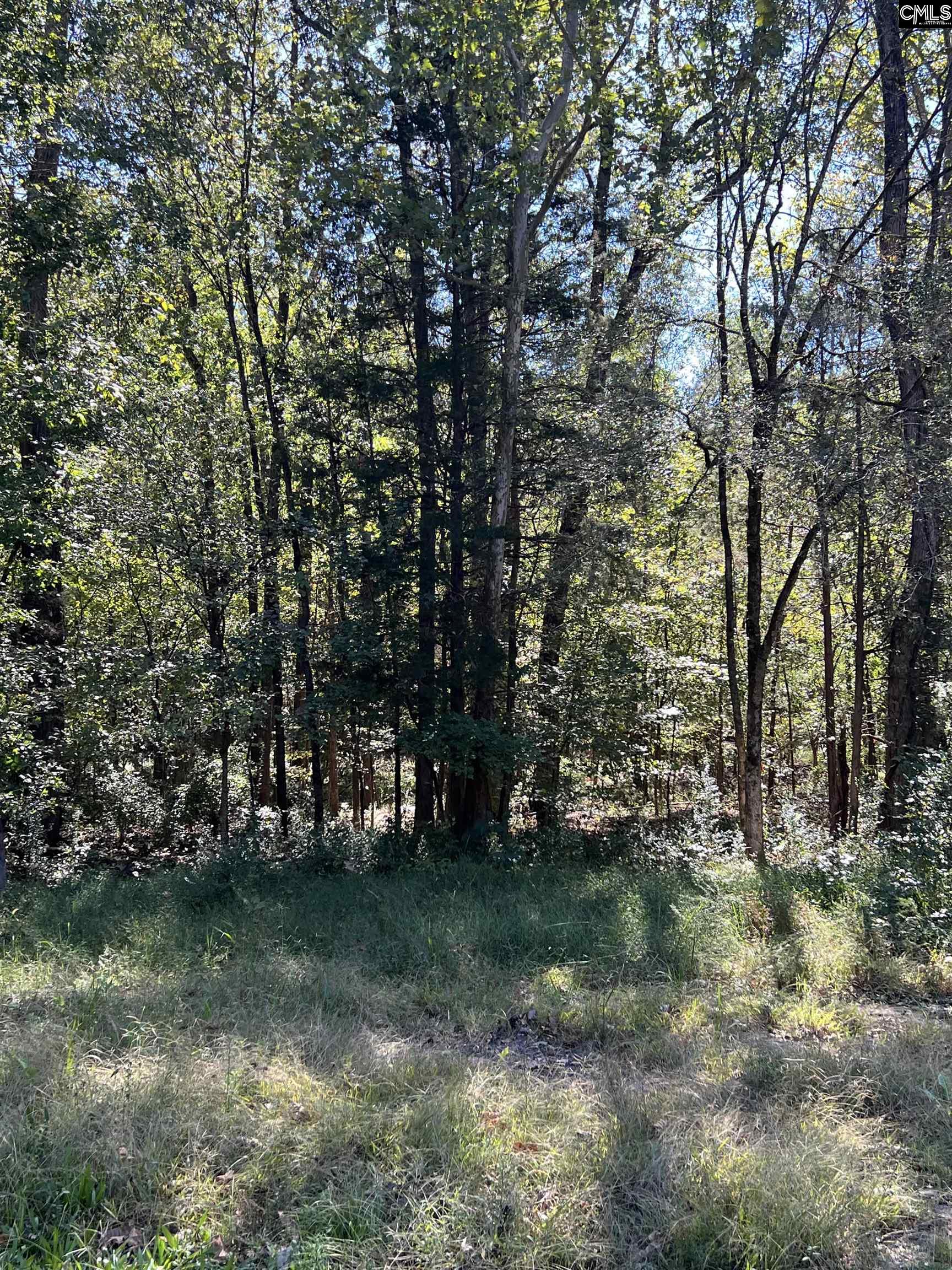 Sc Hwy 176 Little Mountain, SC 29075