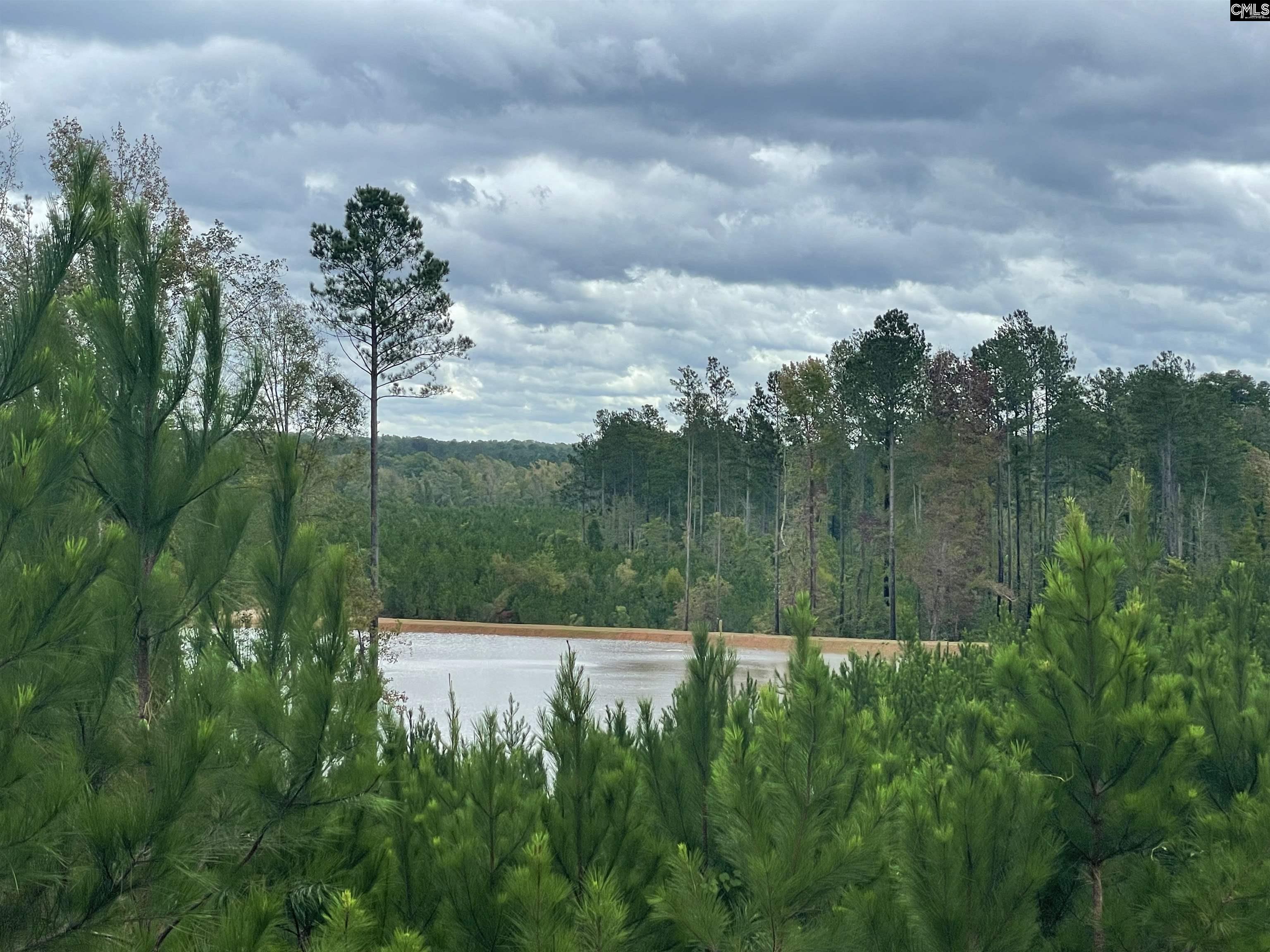 388 Shadowmist Lane Elgin, SC 29045