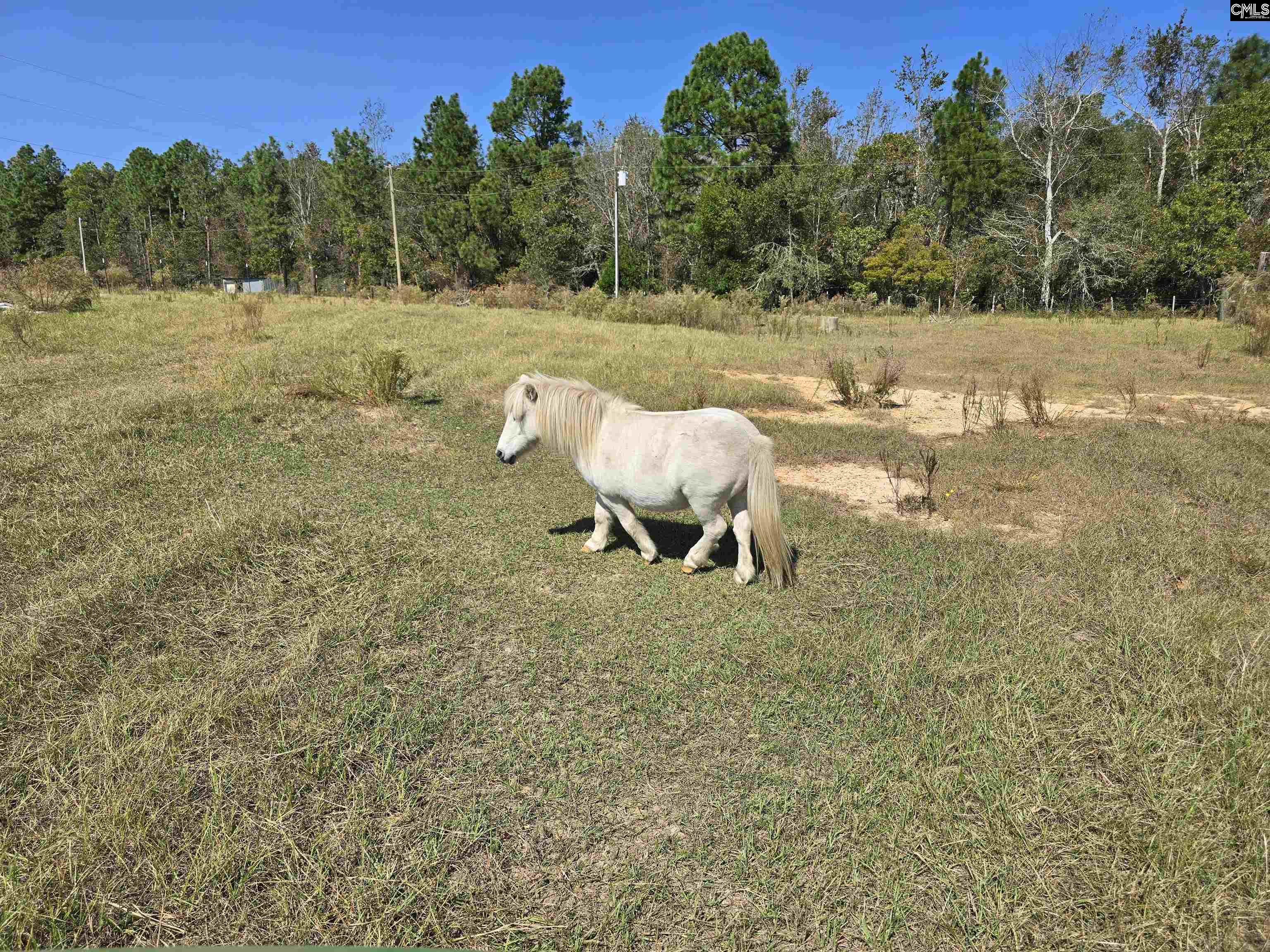 991 Old Chalk Bed Road, Batesburg, South Carolina image 1
